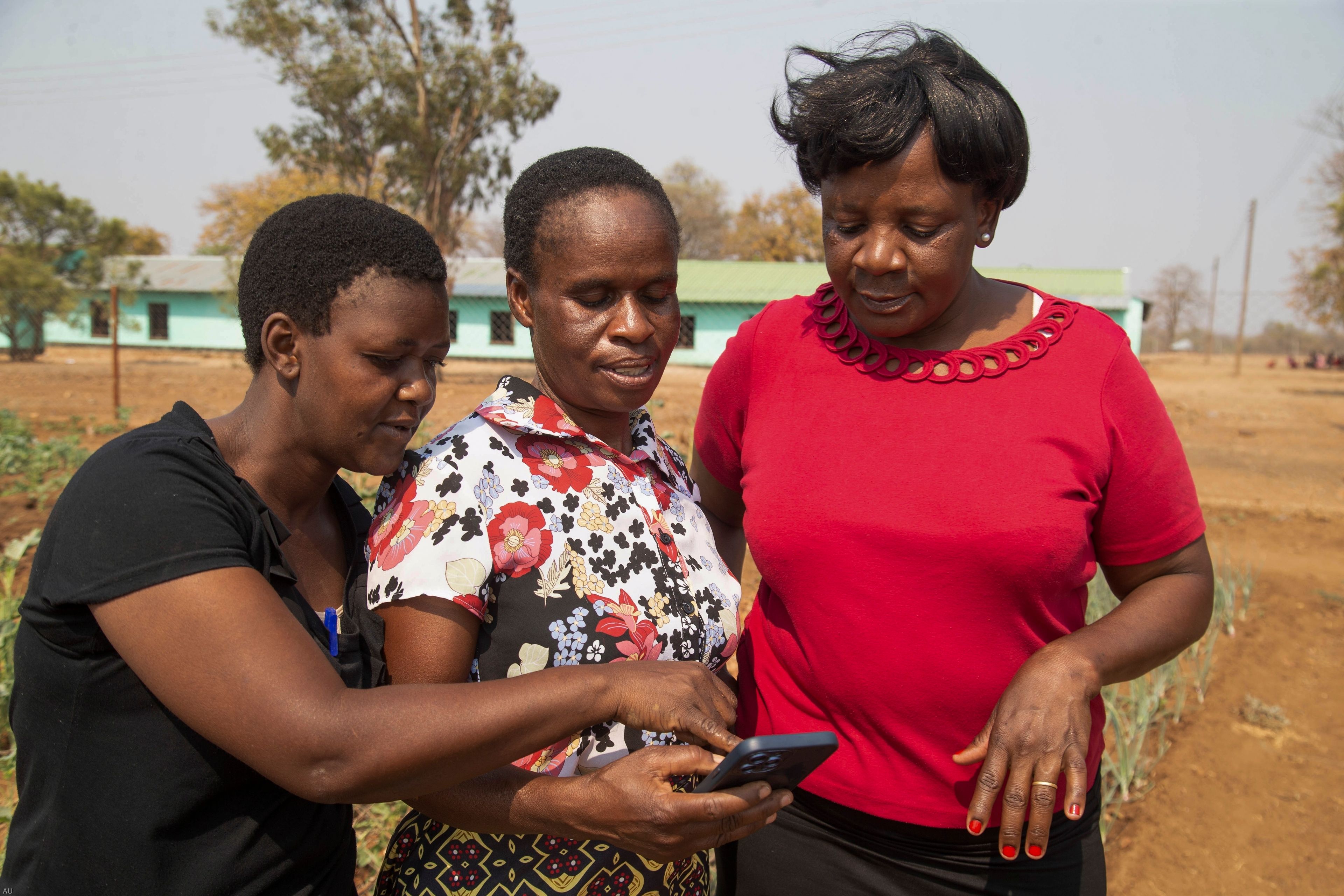 Muchaneta Mutowa, center, checks the weather while working in a plot that is part of a climate-smart agriculture program funded by the United States Agency for International Development in Chipinge, Zimbabwe, Thursday, Sept. 19, 2024. (AP Photo/Aaron Ufumeli)