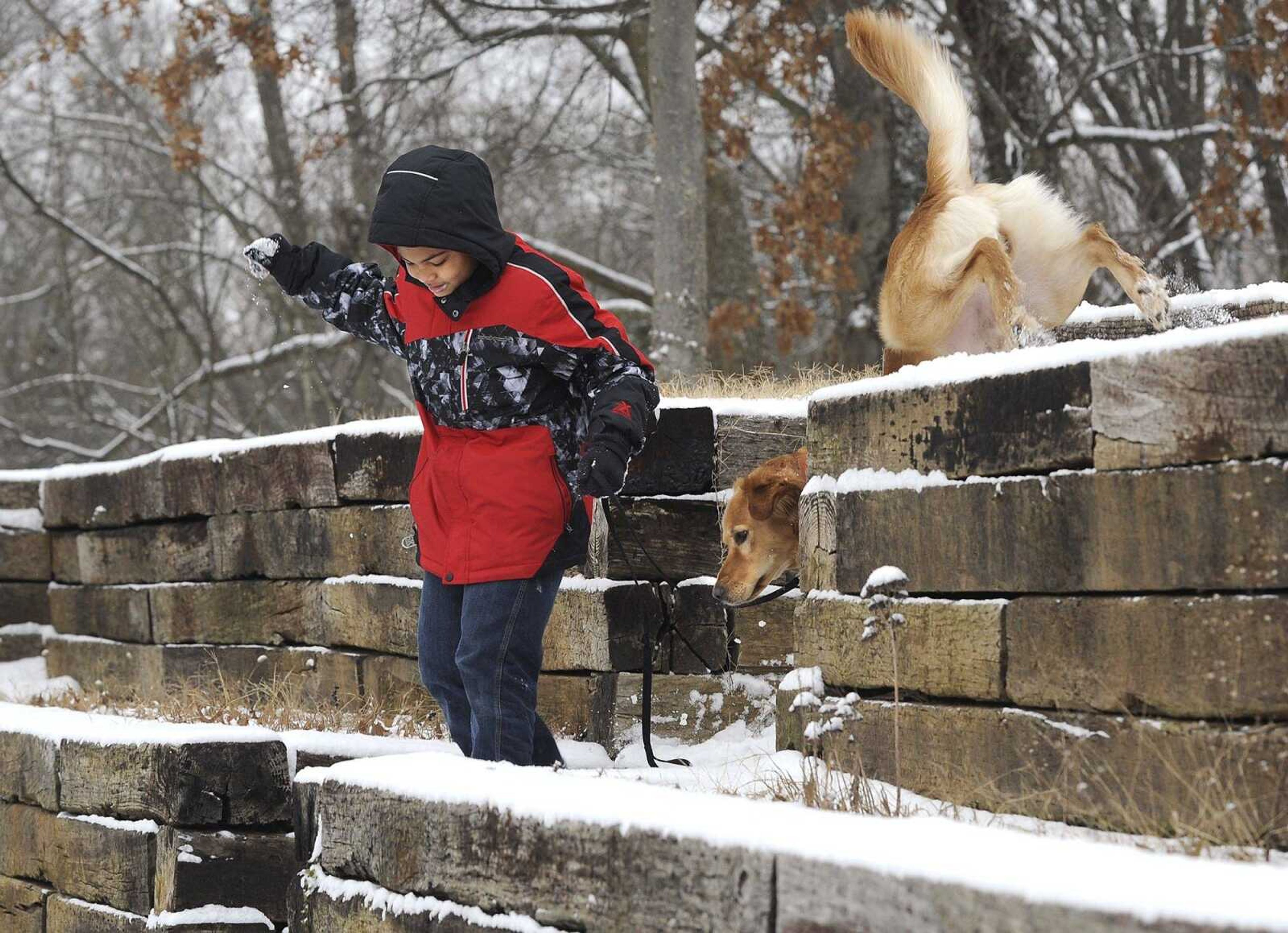 Ivan Edwards and Ruger, his golden retriever, frolic in the snow Monday in Cape Girardeau. Schools were out for Martin Luther King Jr. Day.