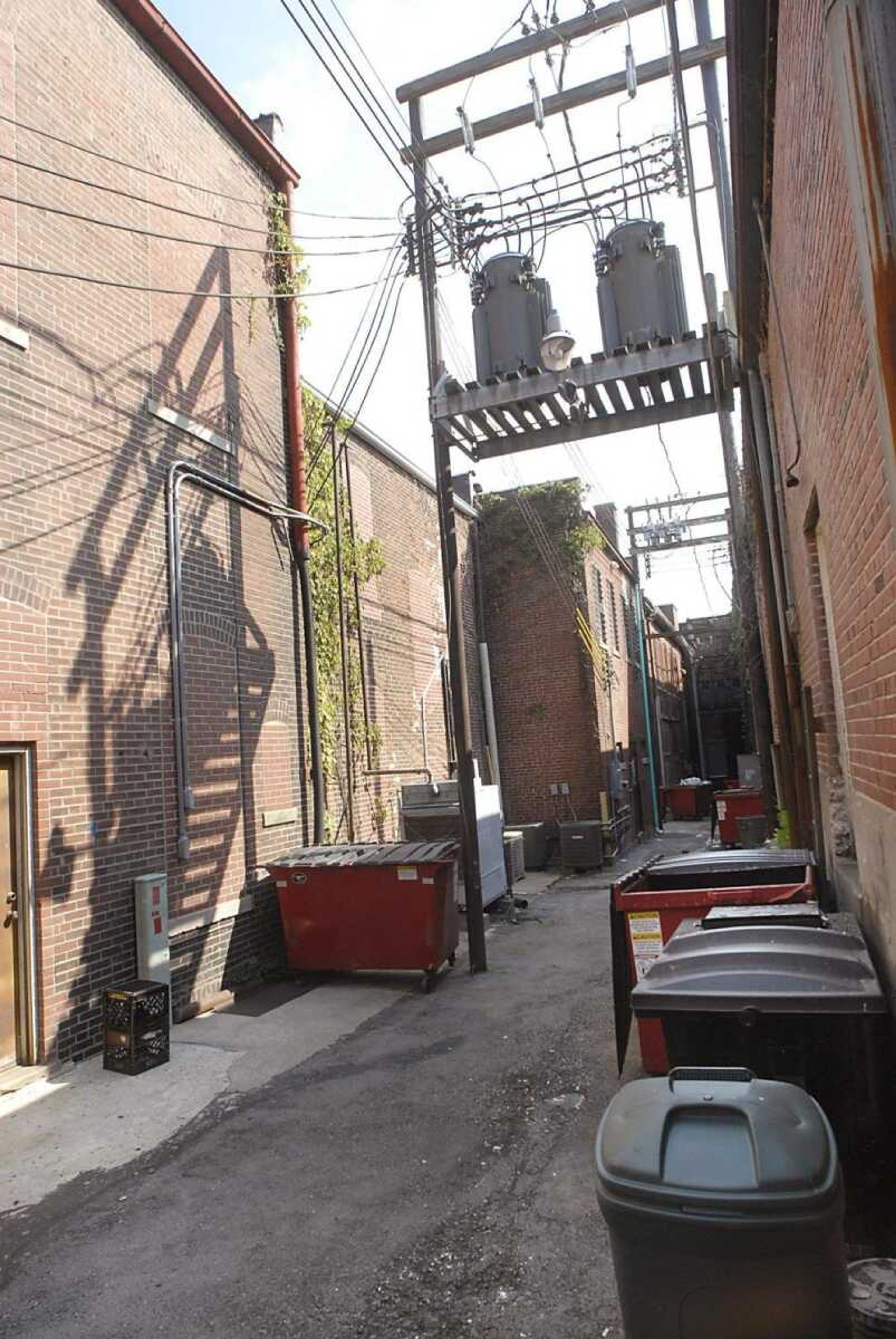 Trash receptacles lined the alley between buildings that front along North Main and North Fountain streets, north of Independence Street, in Cape Girardeau. (Fred Lynch)