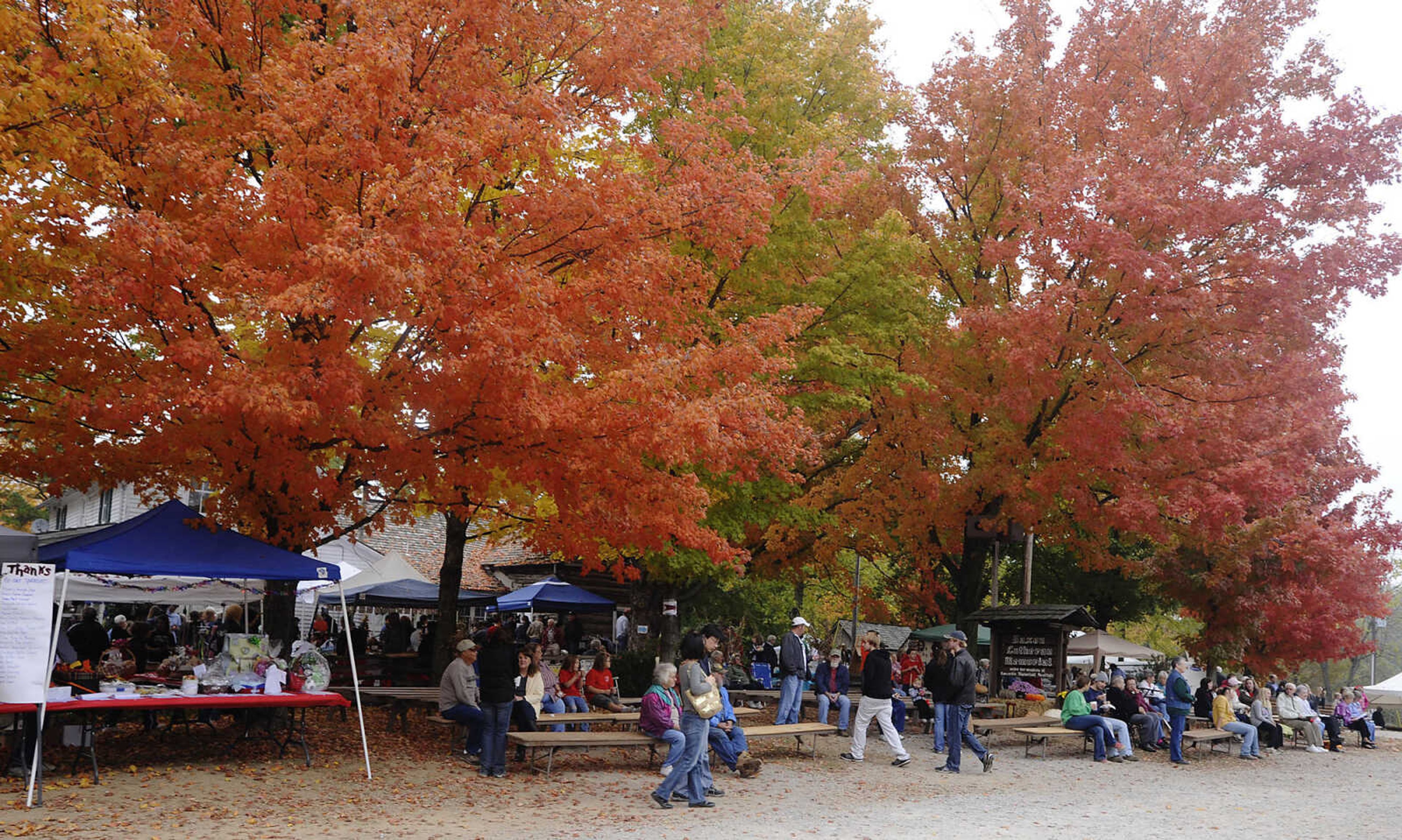 Visitors browse through booths selling various crafts at the Saxon Lutheran Memorial's Fall Festival Saturday, October 13, in Frohna. The annual festival celebrates the heritage of the area's 19th century German immigrants.