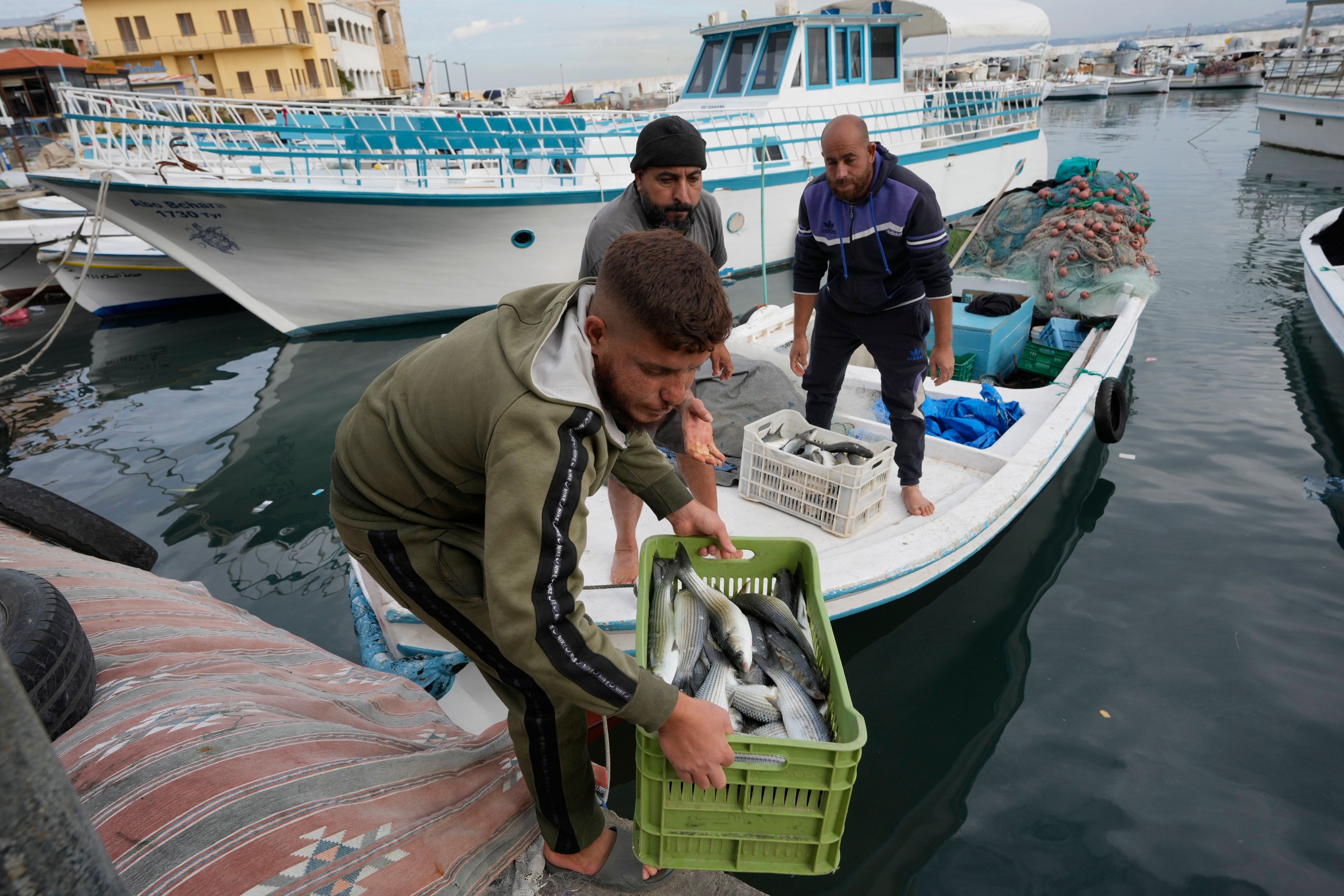 Fishers at a Lebanese port hope ceasefire with Israel means normal life is returning