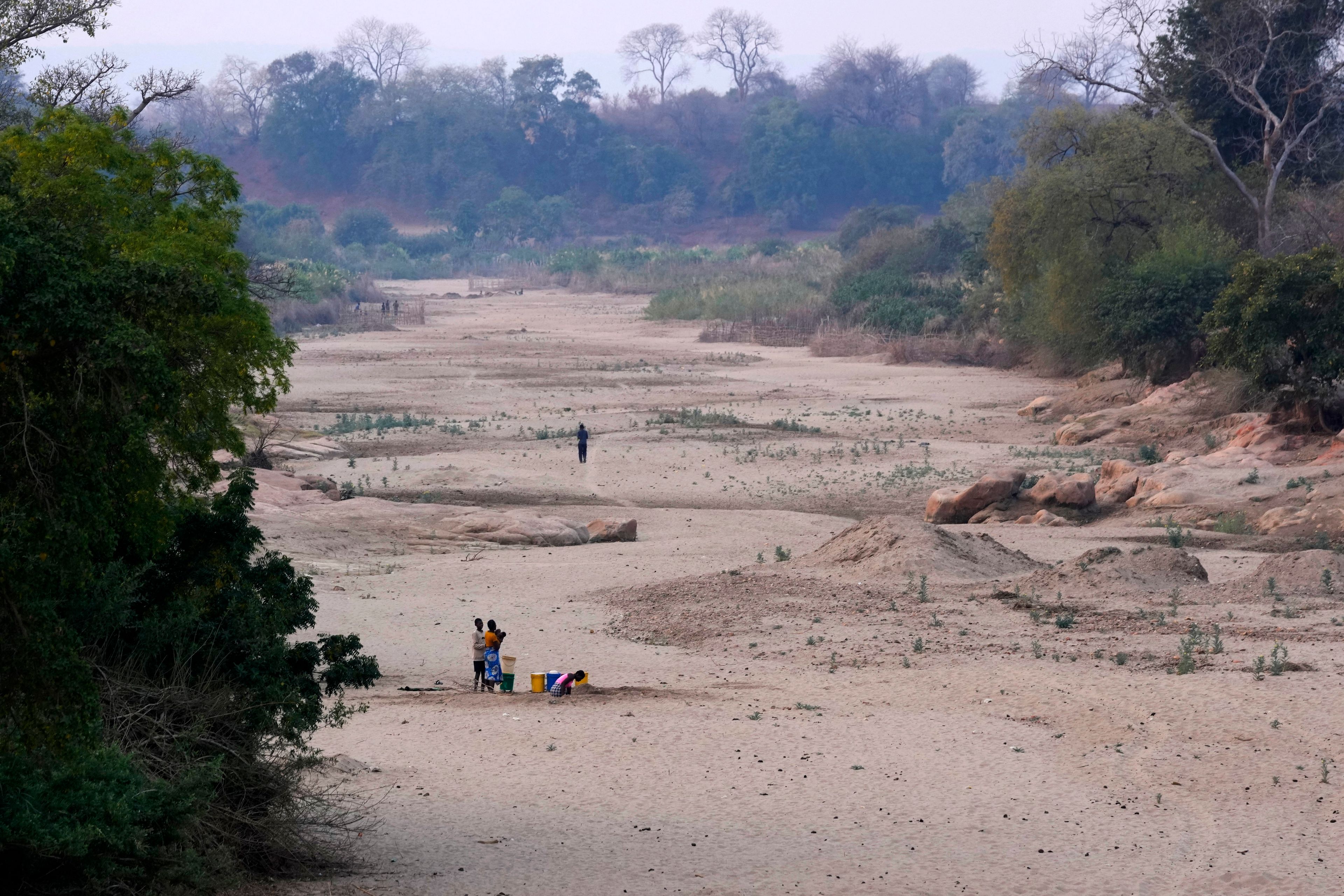 FILE - A woman scoops water from a hole she has dug in a dried up riverbed in Lusitu, Zambia, Wednesday, Sept. 18, 2024. (AP Photo/Themba Hadebe, File)