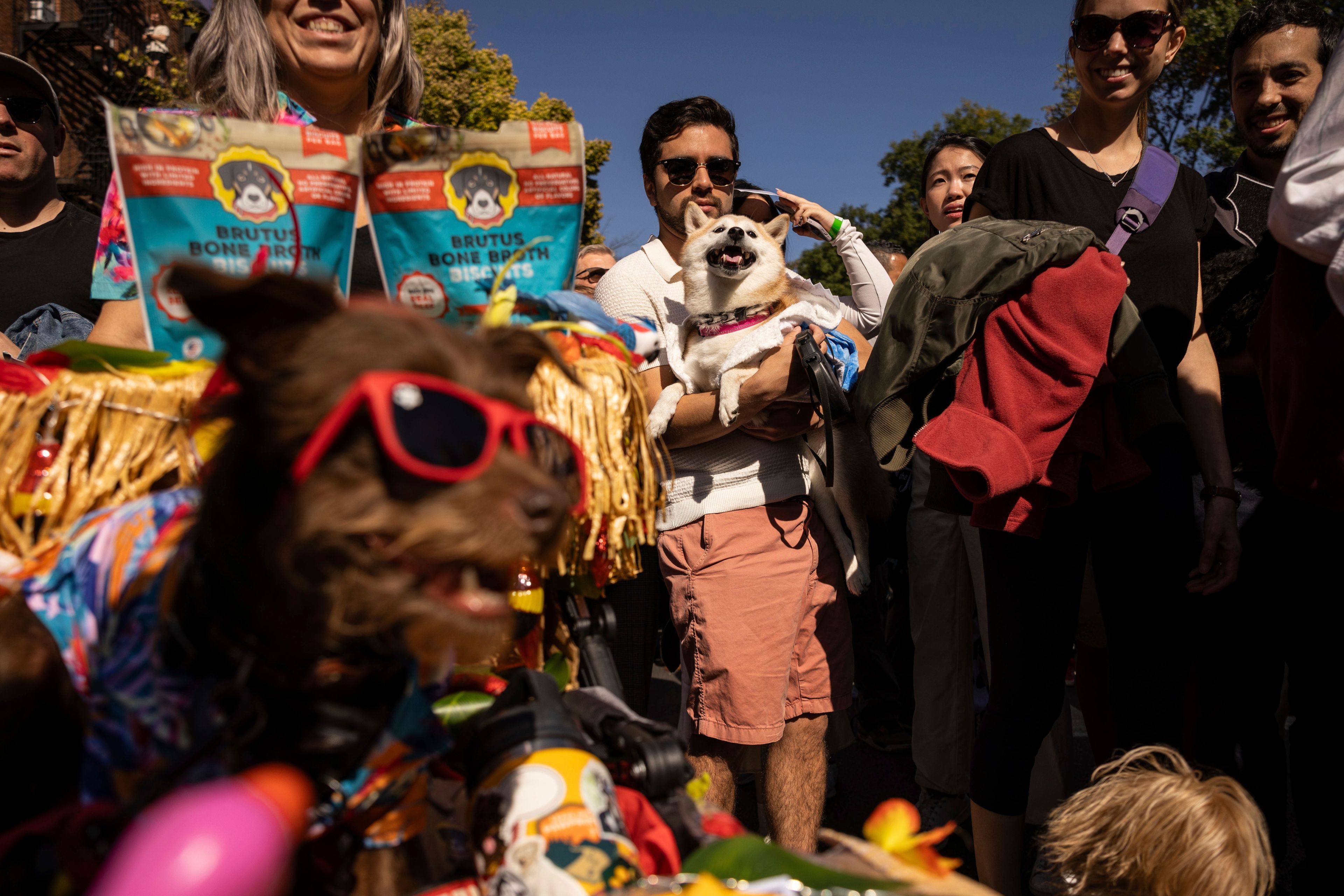 People and their dogs in costume participate in the 34th annual Tompkins Square Halloween Dog Parade, Saturday, Oct. 19, 2024, in New York. (AP Photo/Yuki Iwamura)