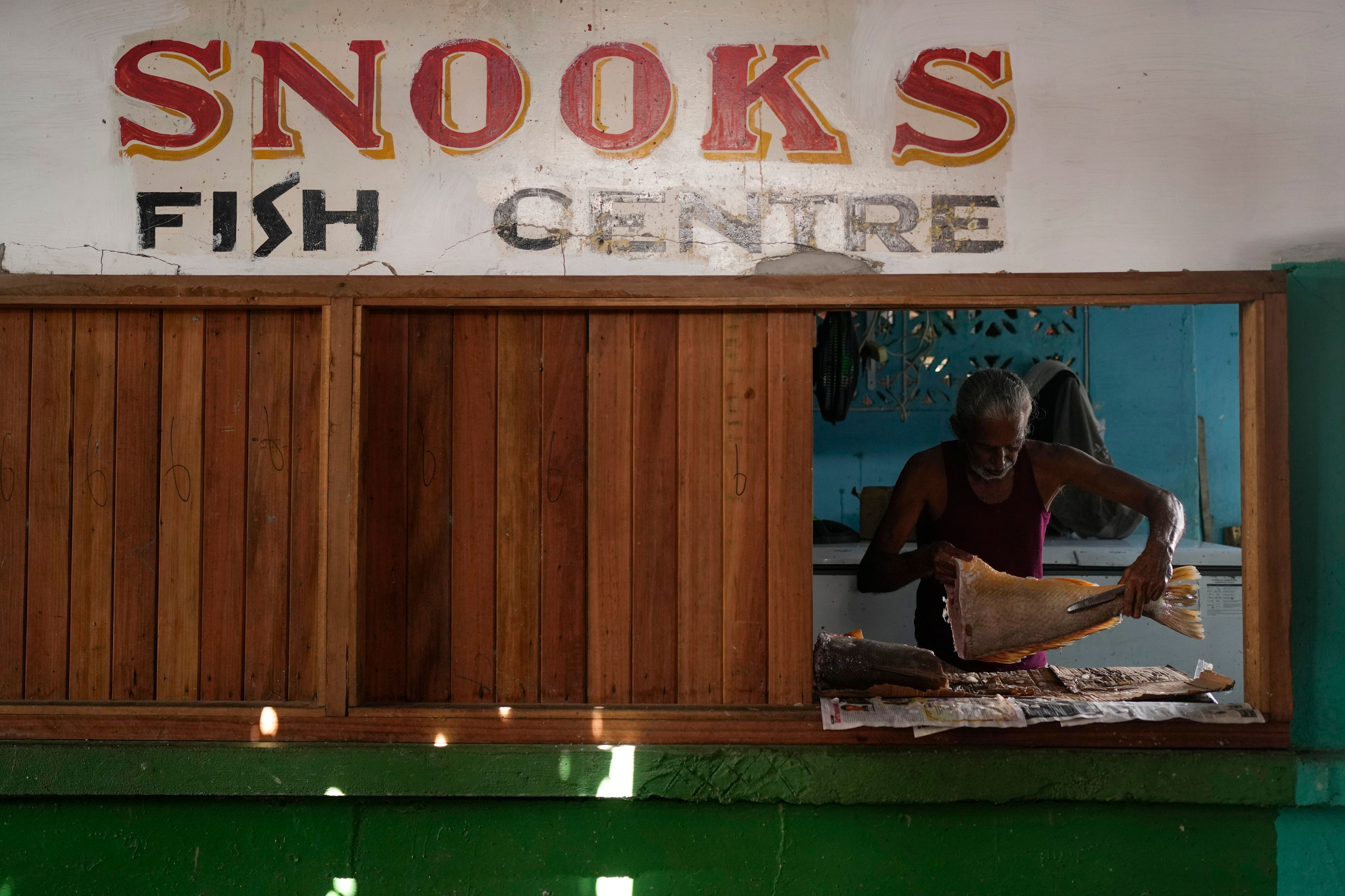 A fishmonger guts a fish at the Stabroek Market at the port of Georgetown, Guyana, Nov. 19, 2024. (AP Photo/Matias Delacroix)