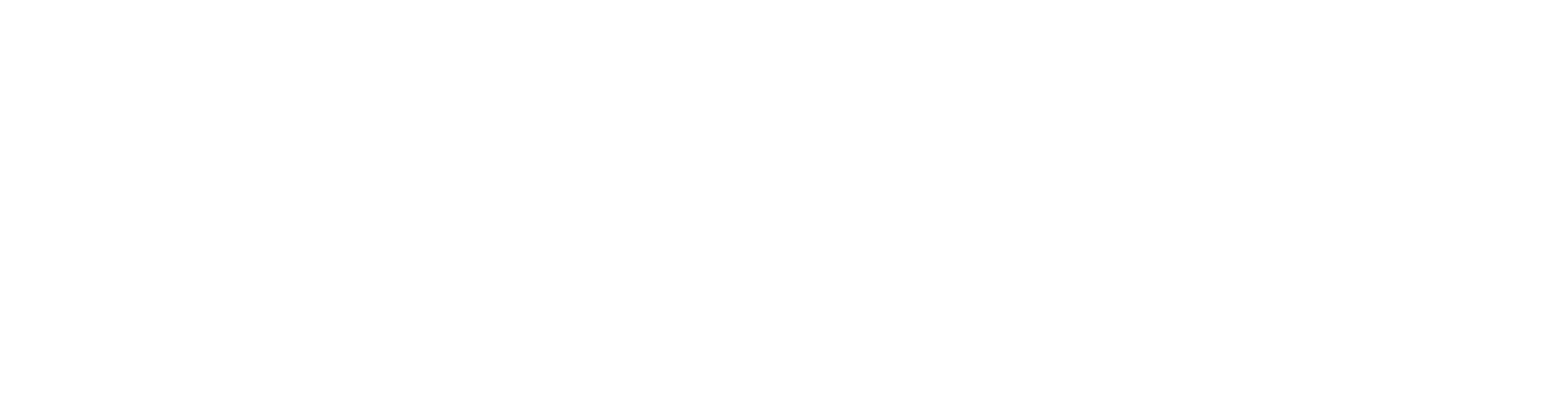 Site Footer Logo
