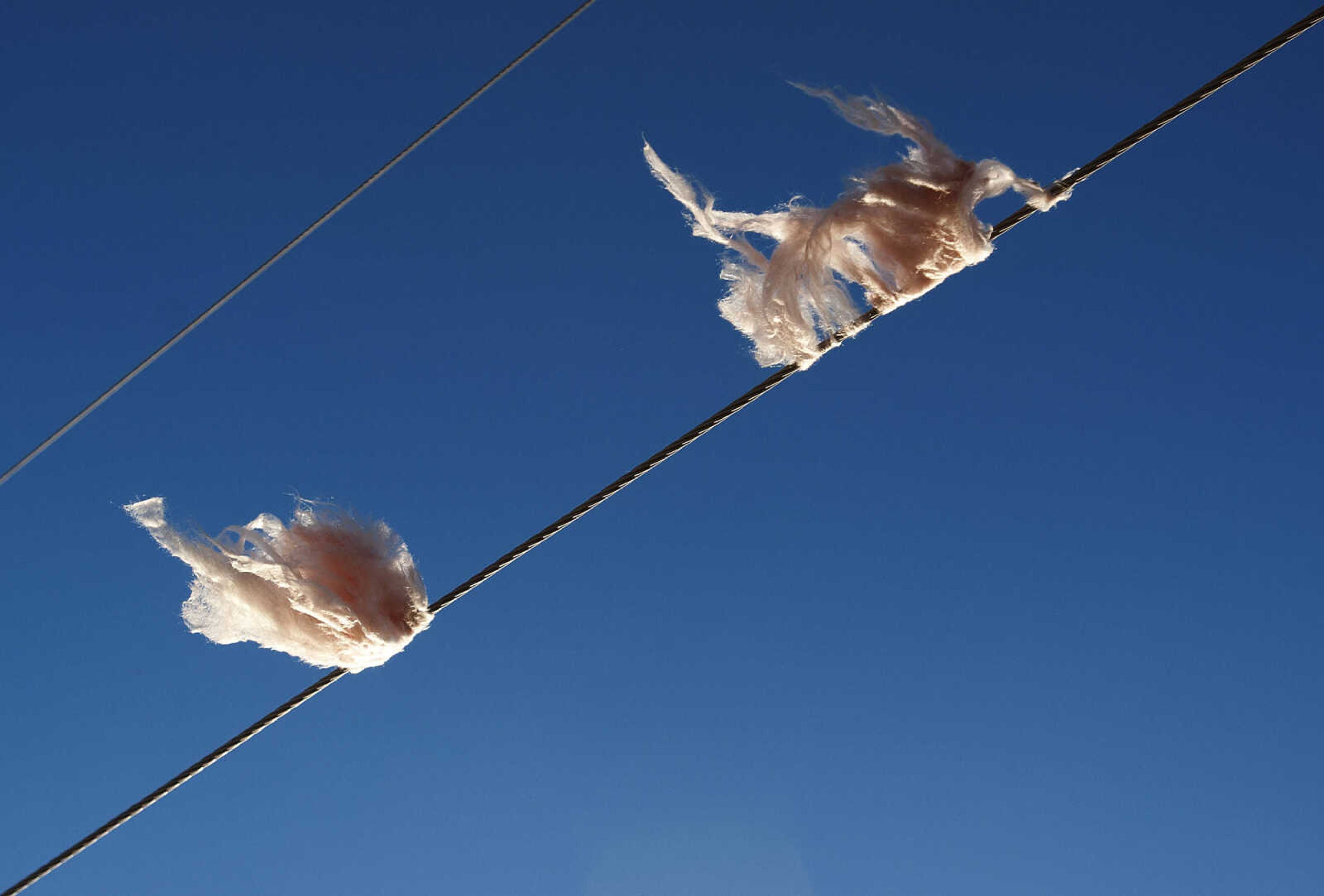 Insulation hangs from a  utility line Sunday, Nov. 17, just off of Highway 61 south of Morley, Mo. A severe thunderstorm destroyed Cookson Seeds, two mobile homes and damaged several structures.