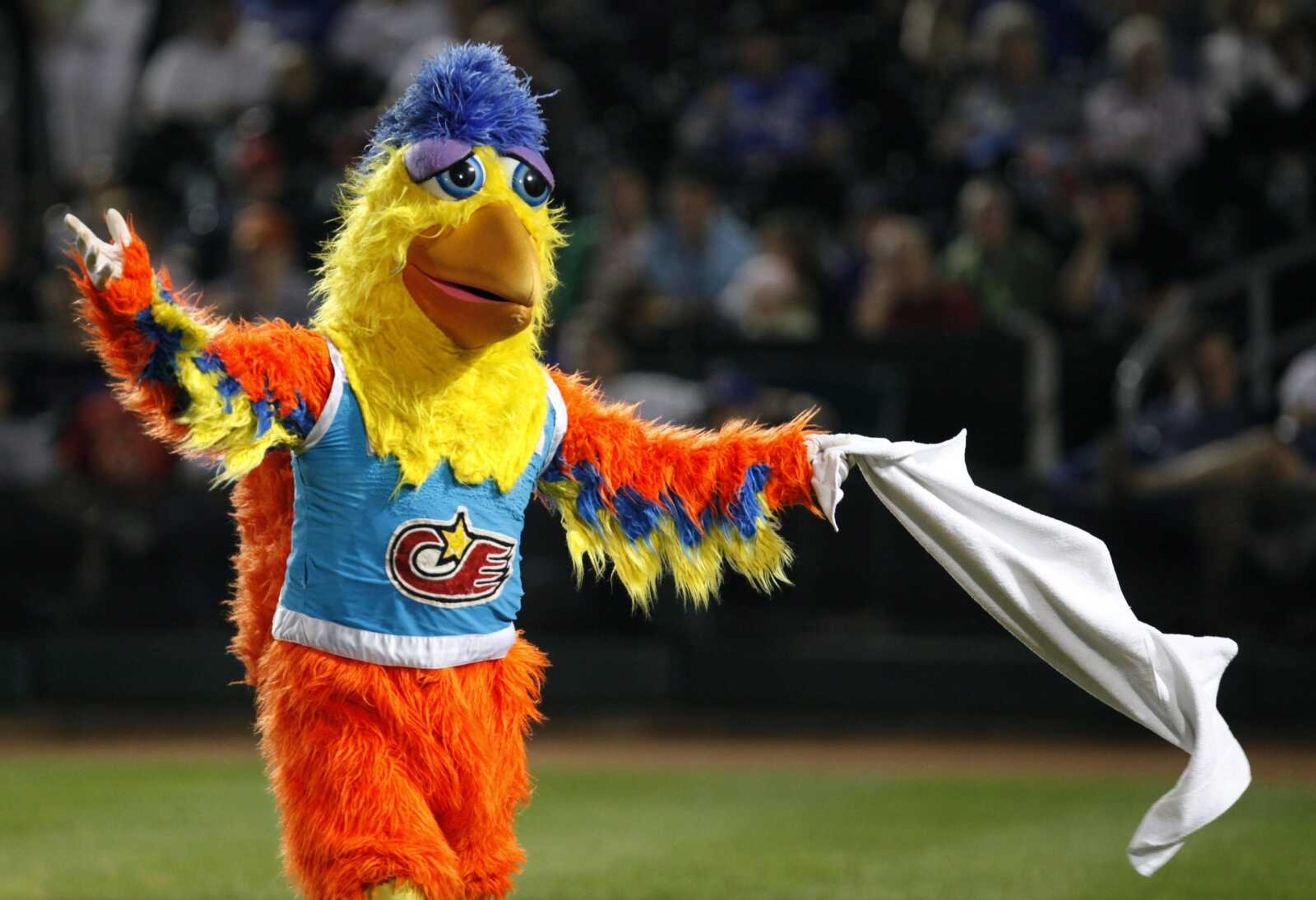 The San Diego Chicken takes a bow after performing during the Iowa Cubs' game against the Omaha Royals last week in Des Moines, Iowa. Ted Giannoulas has been playing the San Diego Chicken since the mid-1970s. (Charlie Neibergall ~ Associated Press)