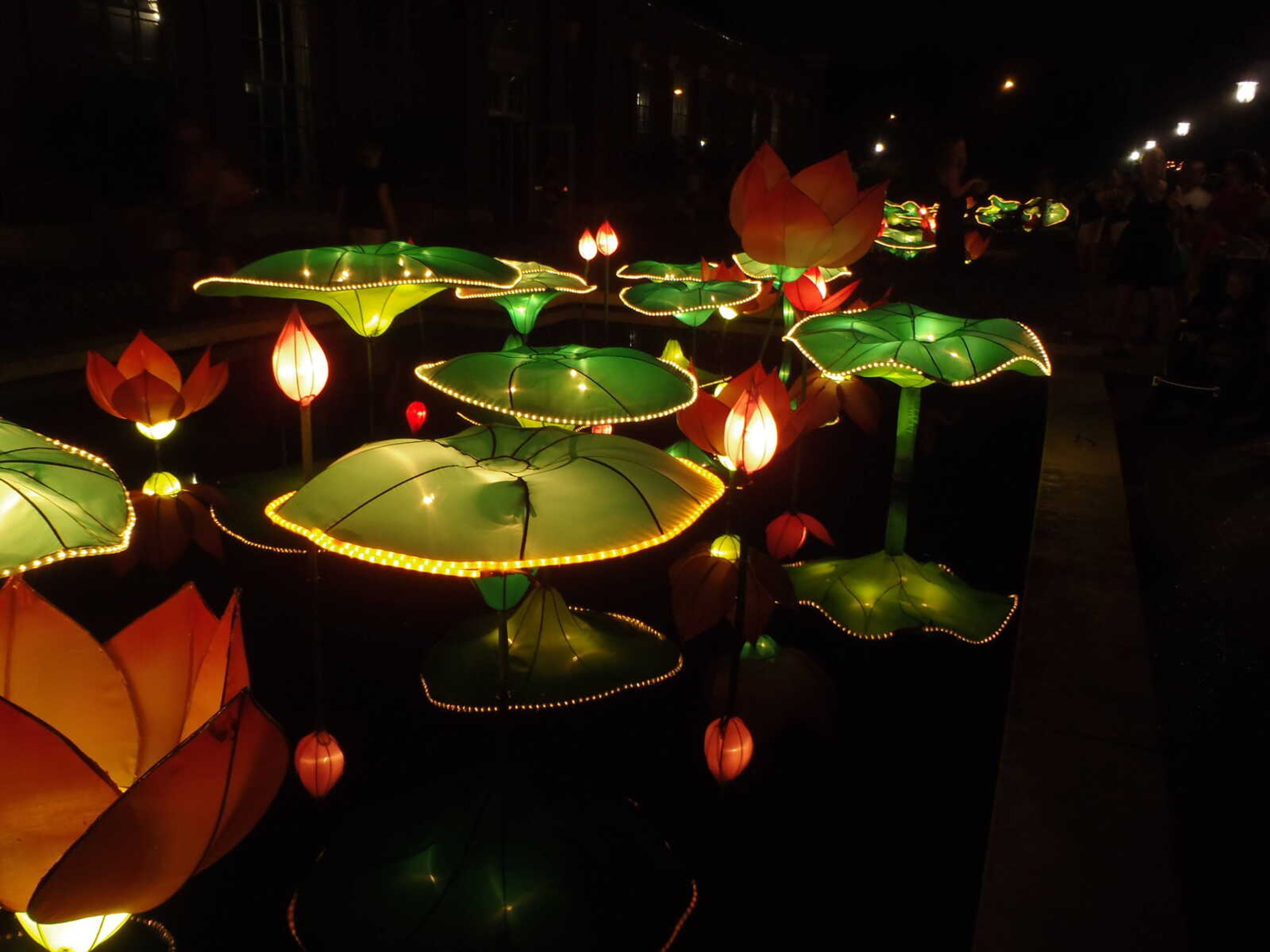 Chinese Lanterns