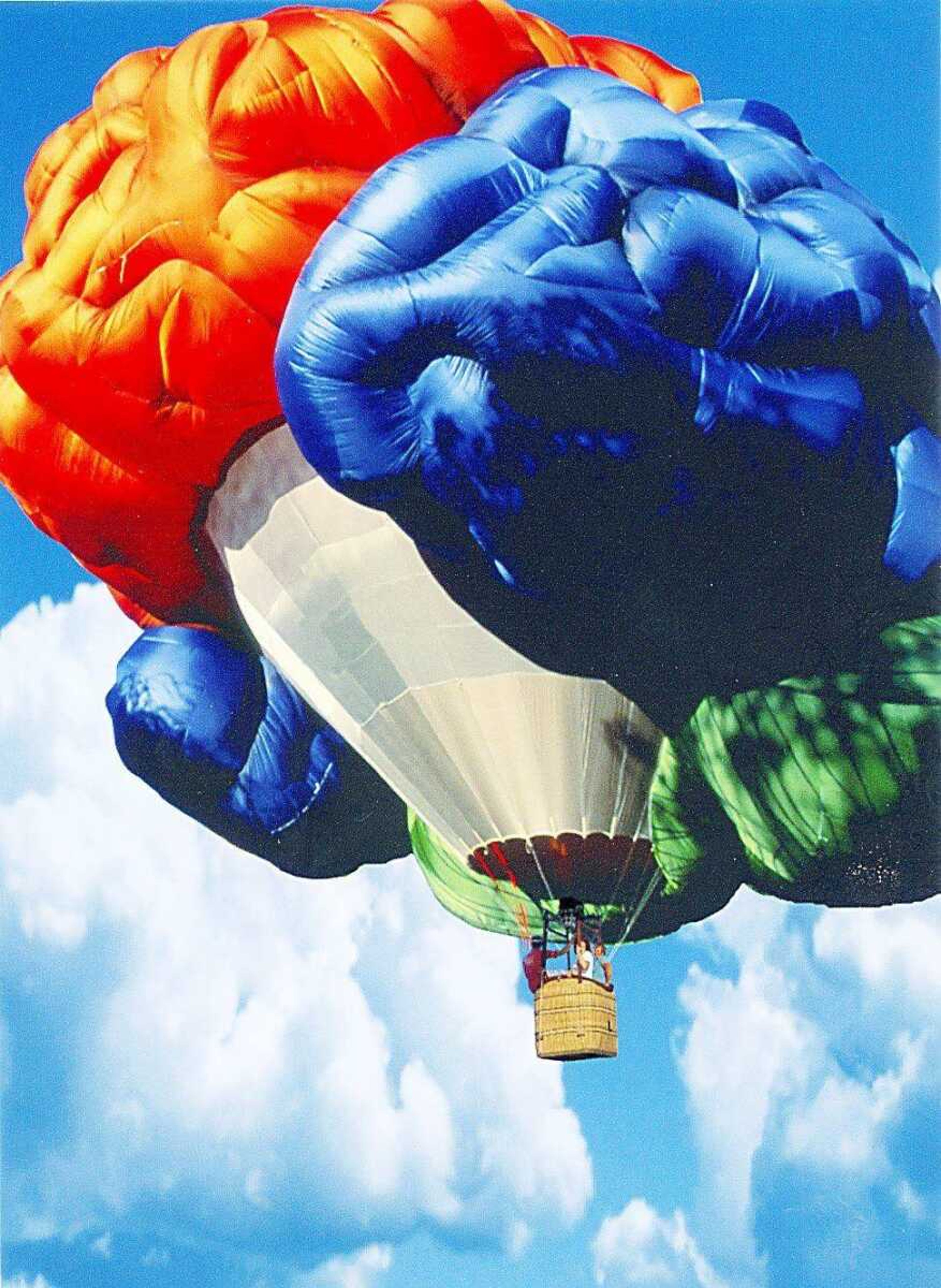 The "World's Largest Brain" hot-air balloon will be inflated at 6:30 a.m. and 4 p.m. Friday at Capaha Park in Cape Girardeau. The event was rescheduled from Sept. 8 at the SEMO District Fair. (Submitted photo)