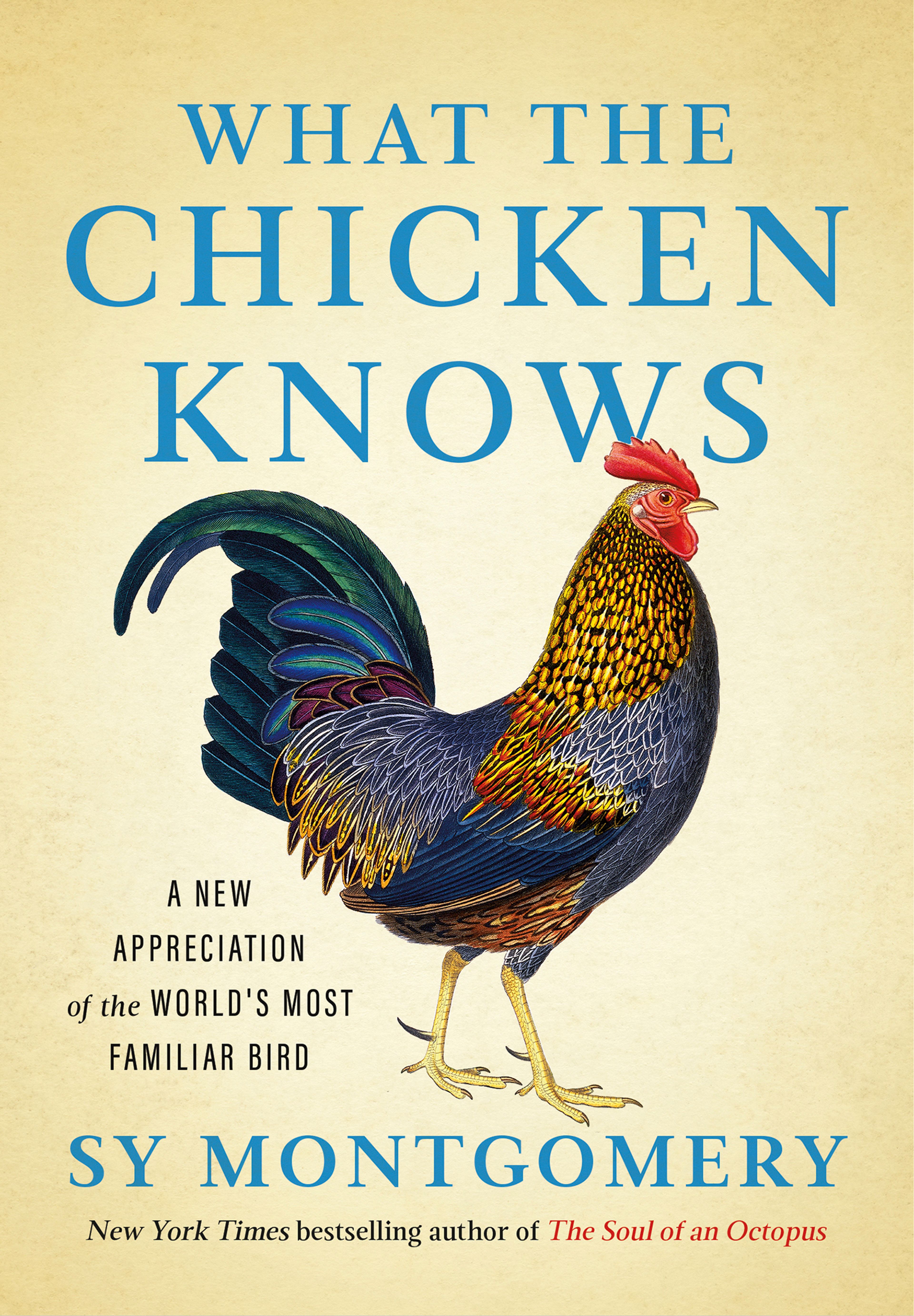 Book Review: Sy Montgomery shares ‘What the Chicken Knows’ in new mini hardcover