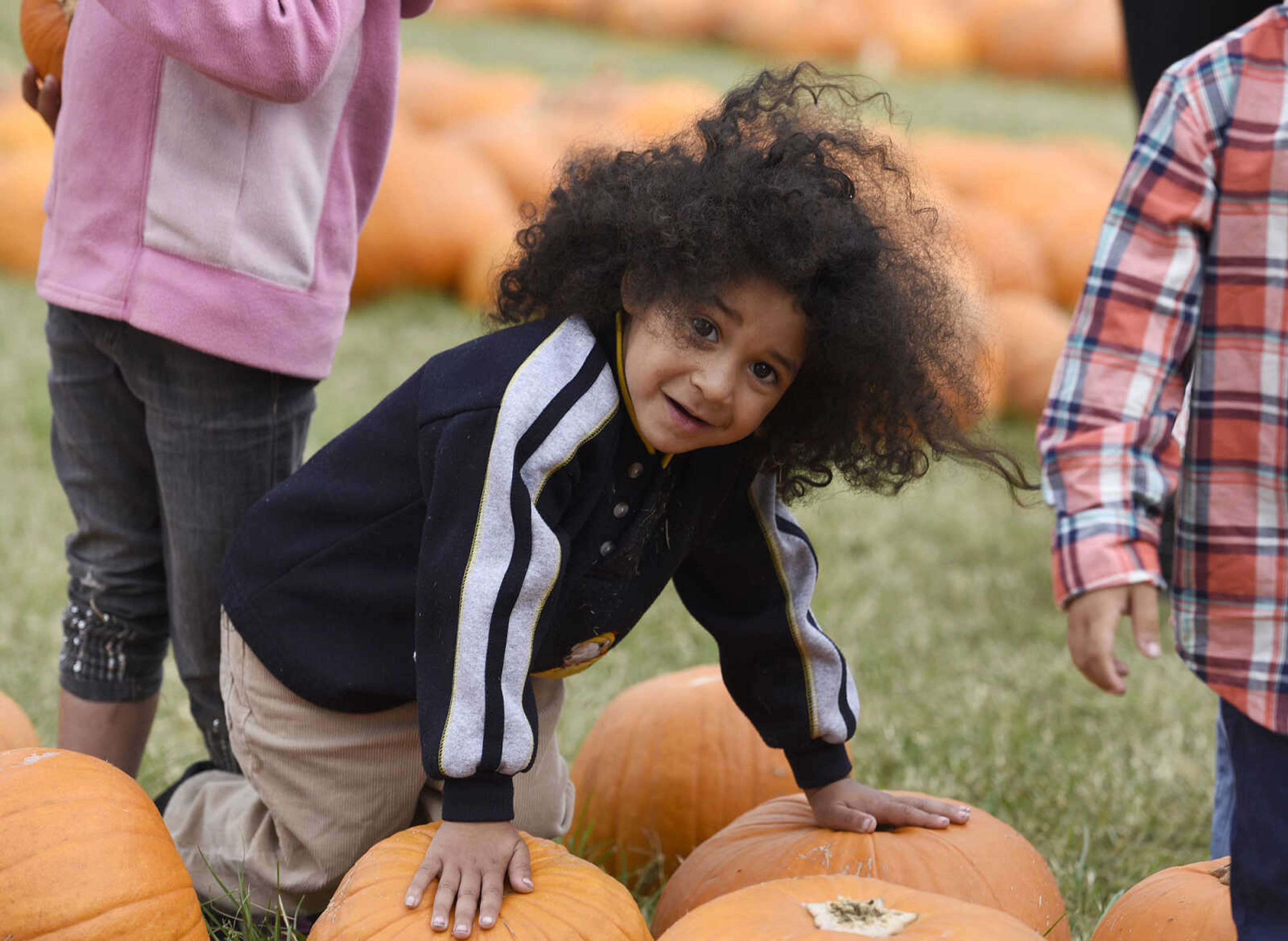 LAURA SIMON ~ lsimon@semissourian.com

Trenton Espinoza checks out the assortment of pumpkins at the Grace United Methodist Church pumpkin patch on Wednesday, Oct. 12, 2016 in Cape Girardeau.