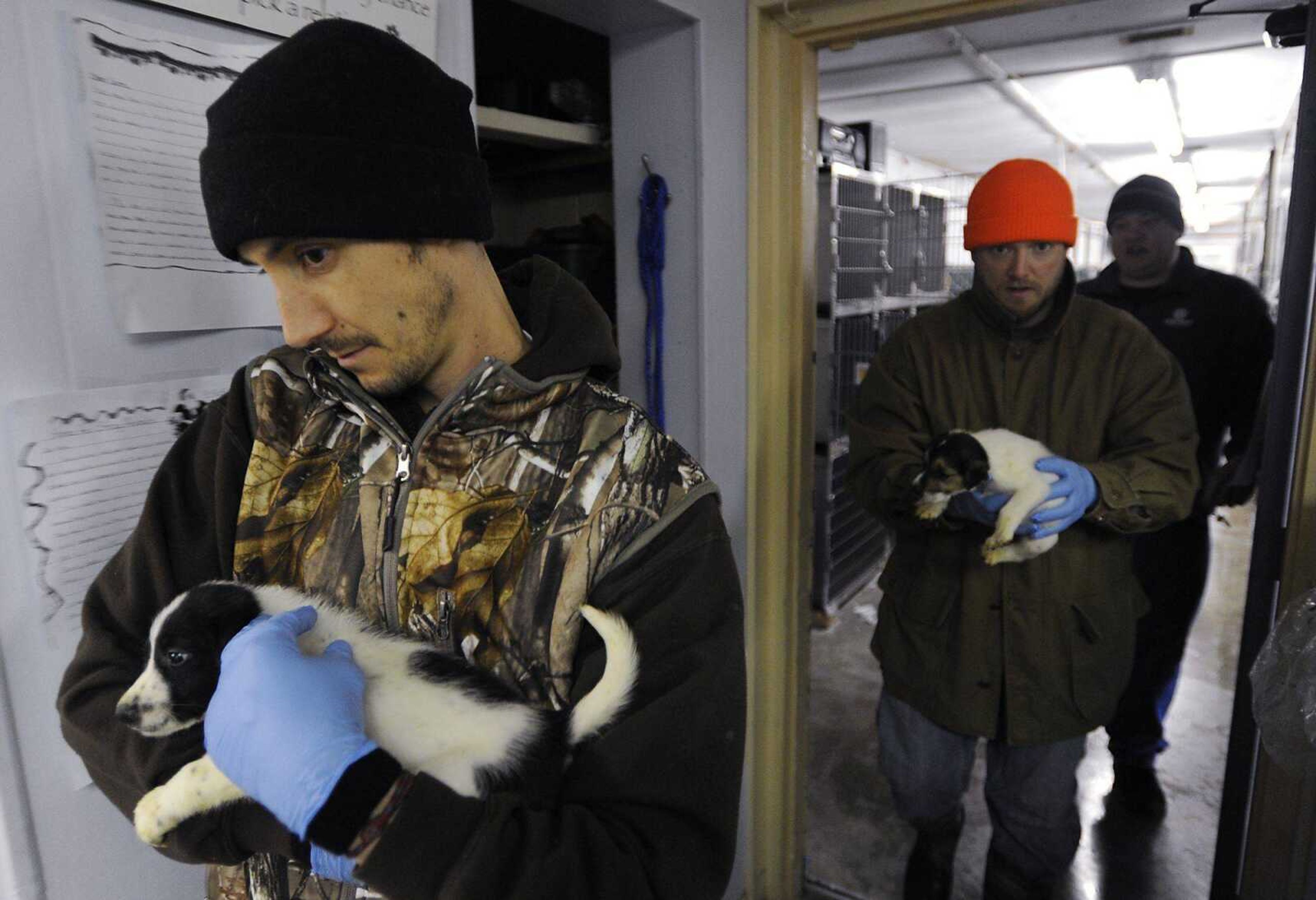 Volunteers Patrick Watson, left, and Loren Honaas carry a puppies from their cages so the cages can be cleaned Tuesday, Dec. 25, at the Humane Society of Southeast Missouri in Cape Girardeau. Volunteers took over the normal duties at the Humane Society so full-time staffers could spend Christmas with their families. (ADAM VOGLER)