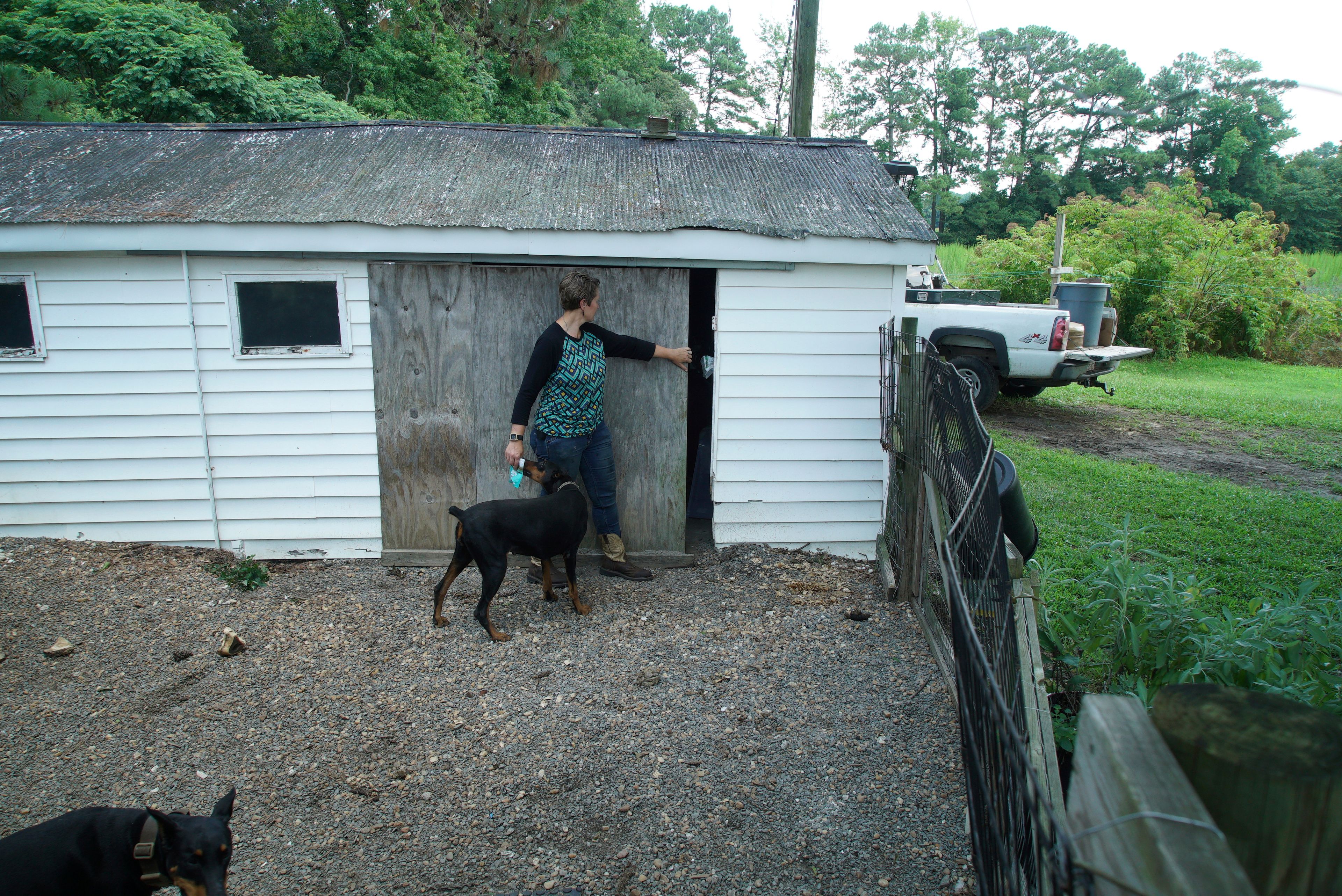 Amy Arthur opens the door to a small barn behind her home outside Mount Olive, N.C., on Monday, July 15, 2024. It was in this barn that her Army veteran husband, Chris, spoke with the government informant whose recording helped convict Arthur in federal court. (AP Photo/Allen G. Breed)