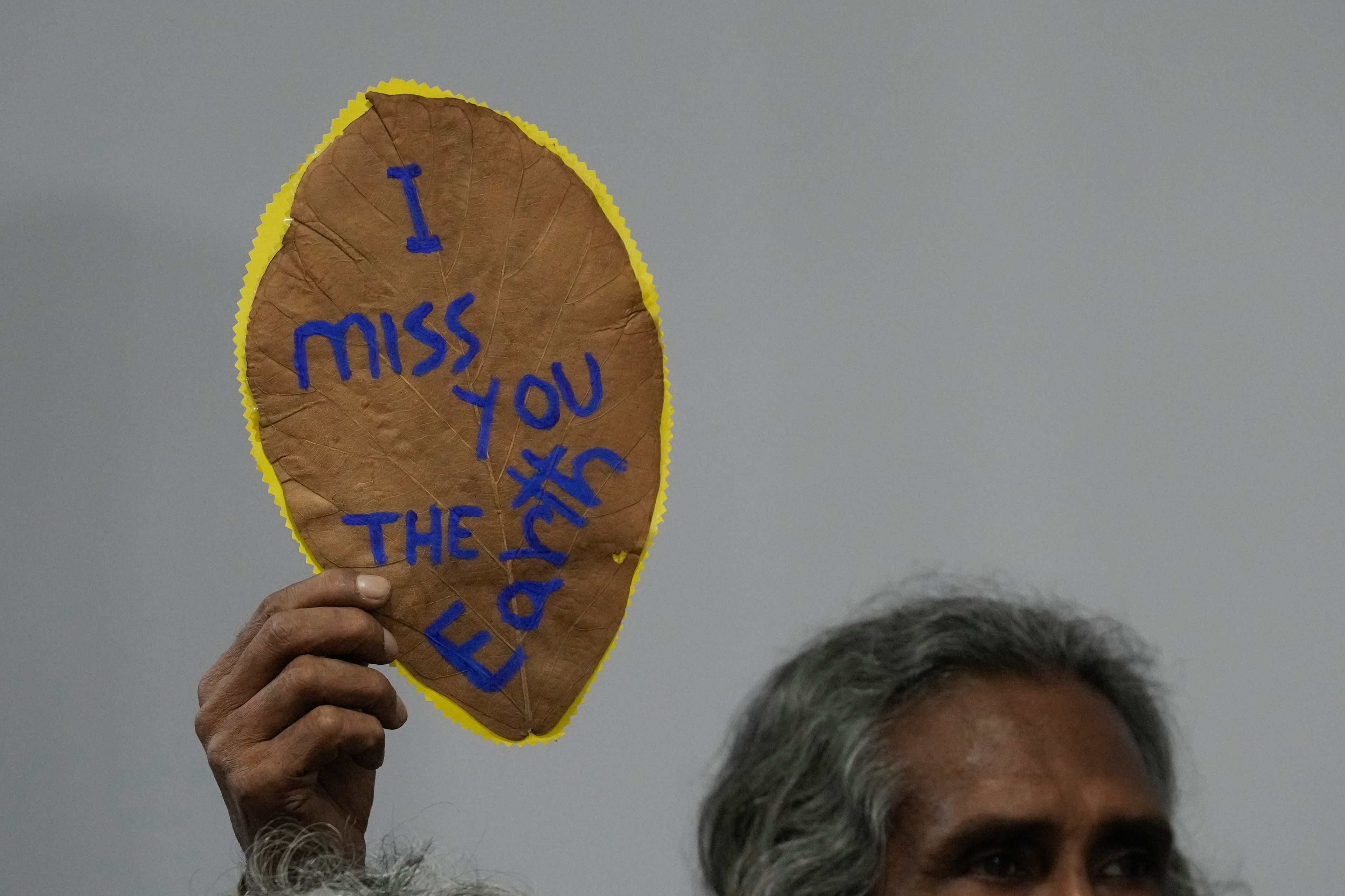 A demonstrator holds a placard about the Earth at the COP29 U.N. Climate Summit, Tuesday, Nov. 19, 2024, in Baku, Azerbaijan. (AP Photo/Rafiq Maqbool)