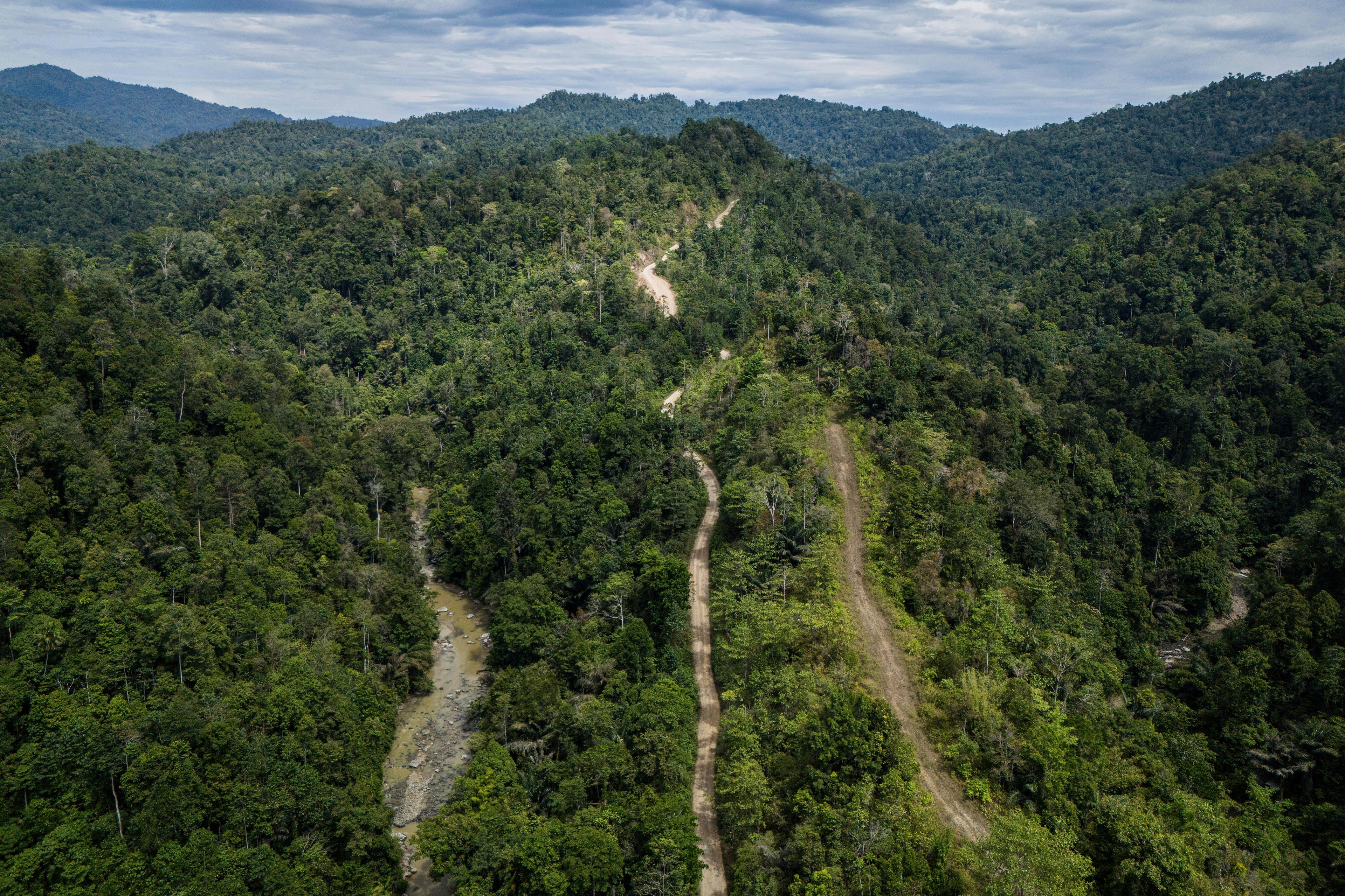 A road leads to areas of several wood pellet production companies in Pohuwato, Gorontalo province, Indonesia, Tuesday, Oct. 22, 2024. (AP Photo/Yegar Sahaduta Mangiri)