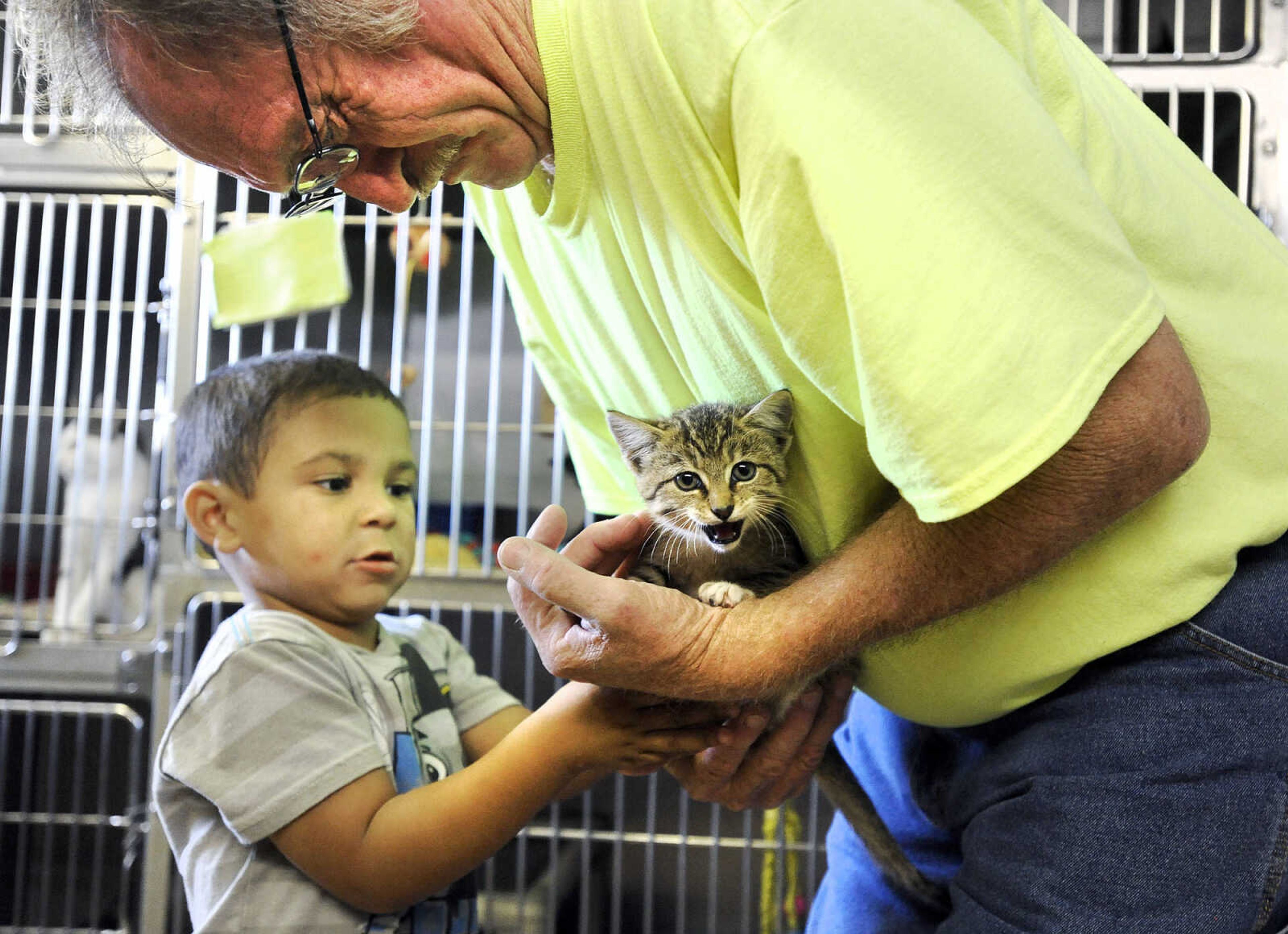 LAURA SIMON ~ lsimon@semissourian.com

Rodney Maddox and his grandson Ethan, 3, visit with a kitten, Thursday, Oct. 15, 2015, at the Humane Society of Southeast Missouri in Cape Girardeau.