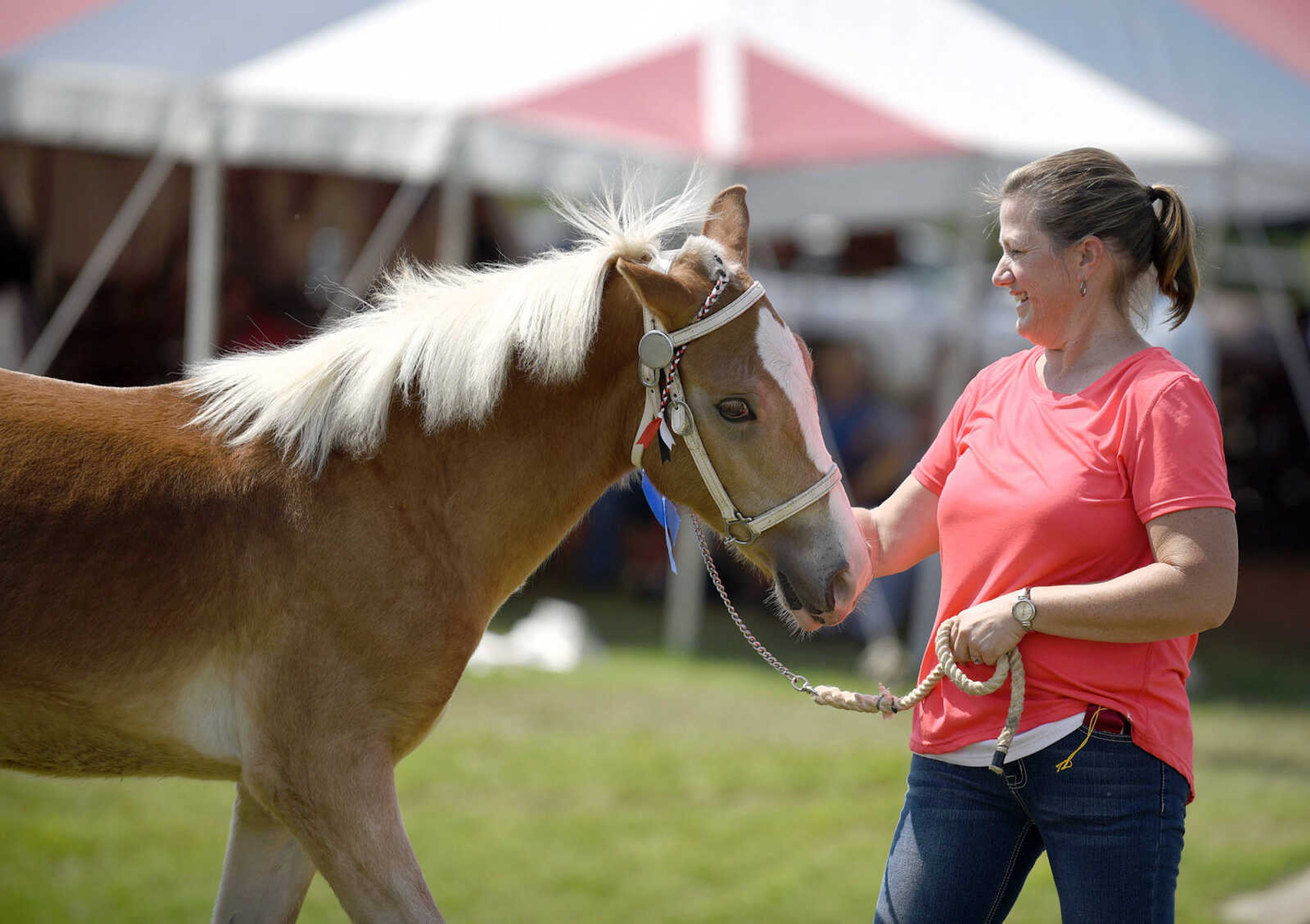 LAURA SIMON ~ lsimon@semissourian.com

Kathy Mangels shows a draft pony during the SEMO District Fair on Friday, Sept. 16, 2016, at Arena Park in Cape Girardeau.