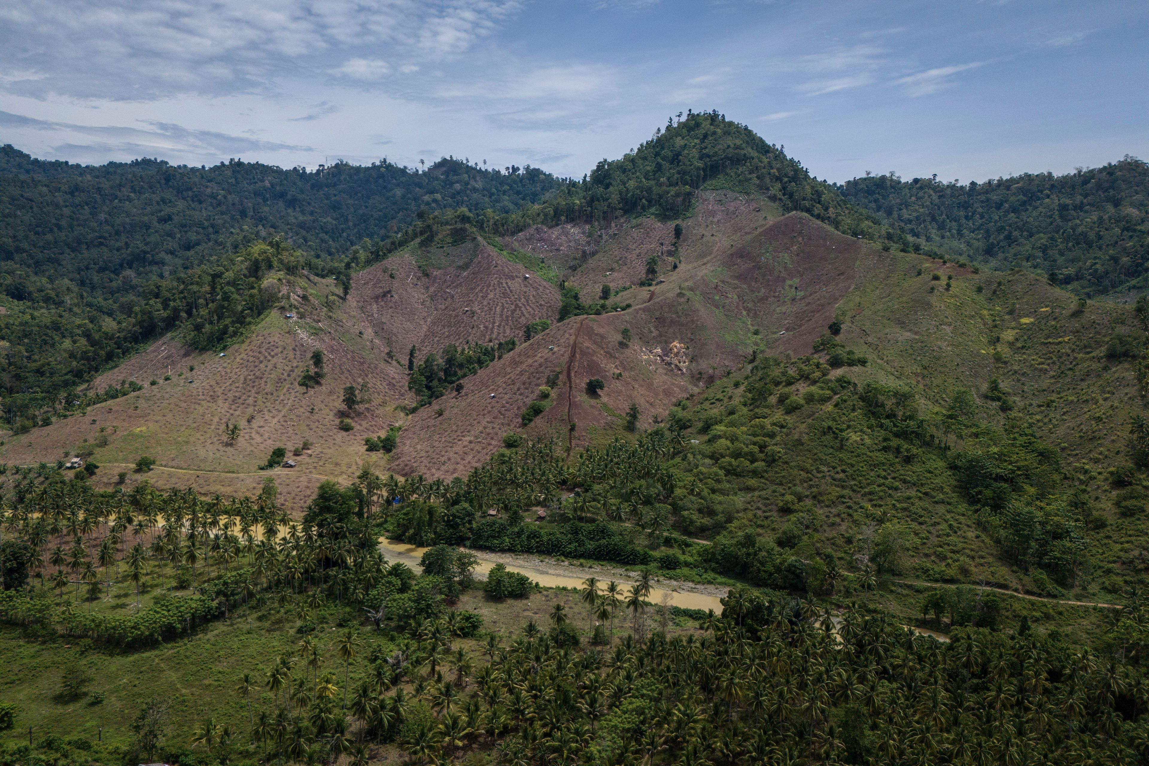 Deforestation is visible near several wood pellet production companies in Pohuwato, Gorontalo province, Indonesia, Tuesday, Oct. 22, 2024. (AP Photo/Yegar Sahaduta Mangiri)