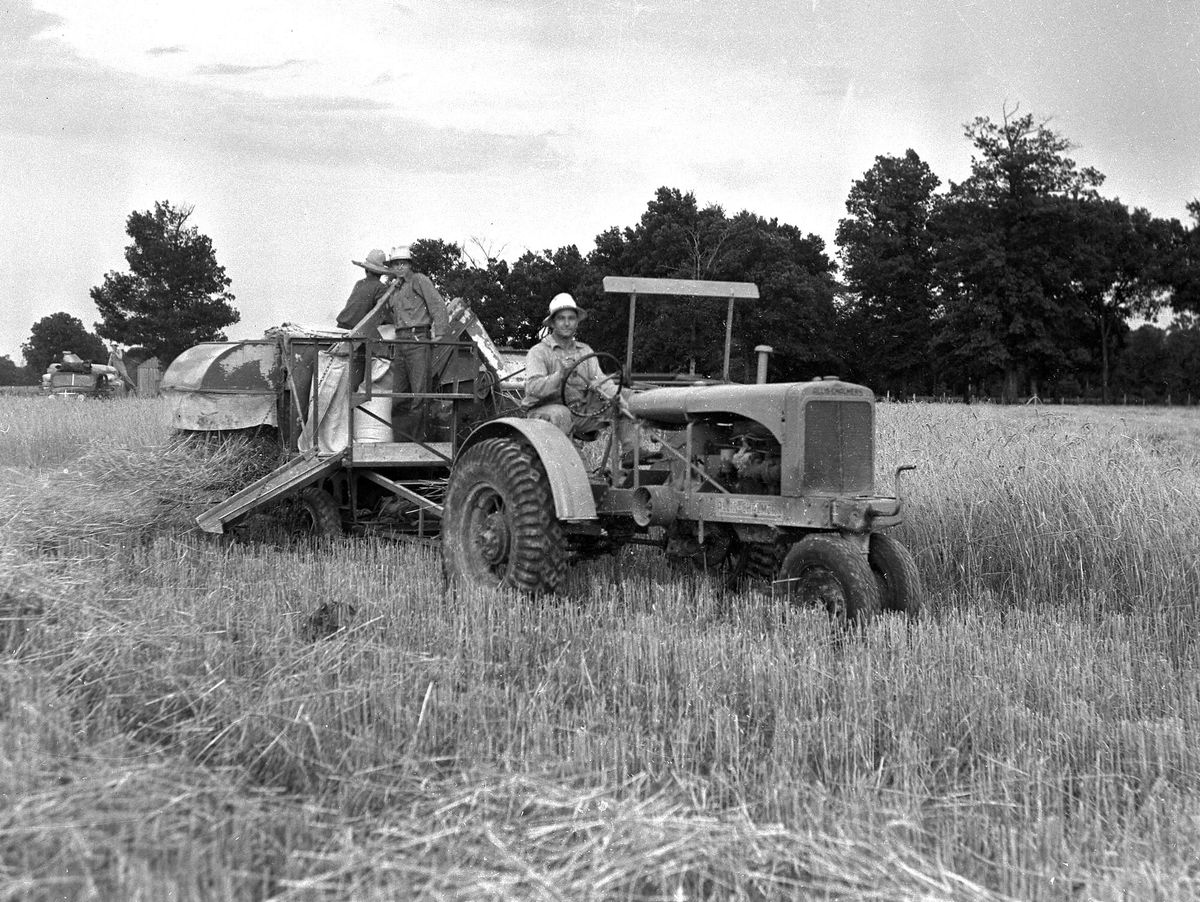 Looking back: Time for wheat harvest
