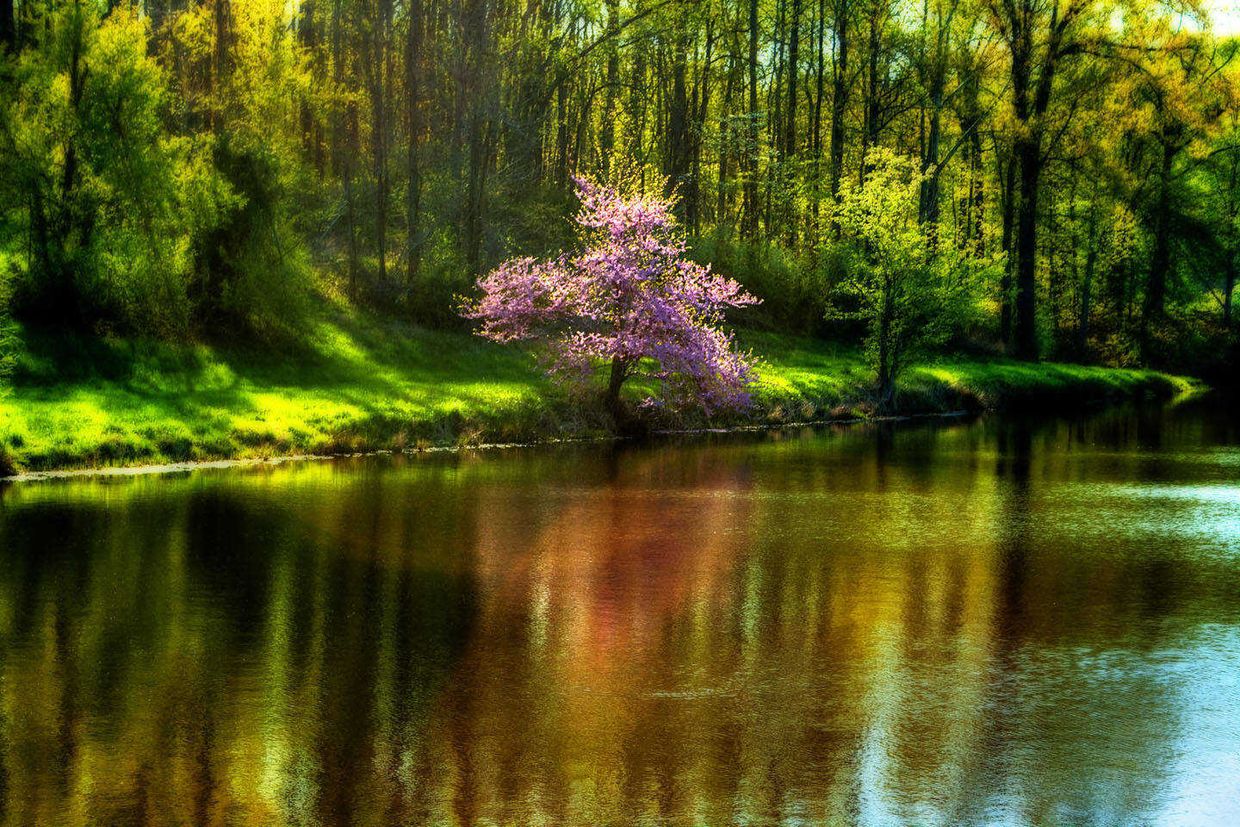 Spring time In Scott County MO