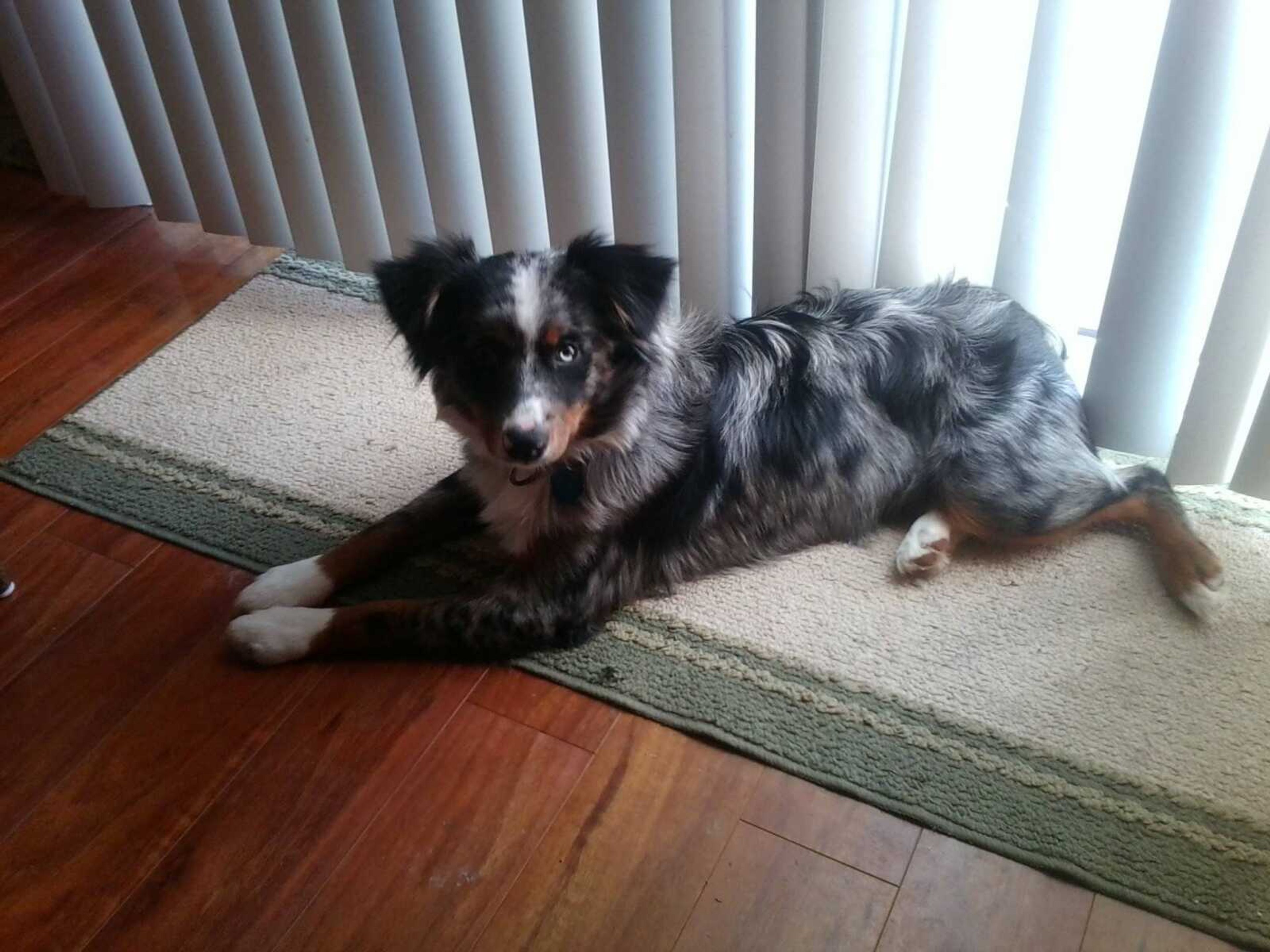 Bowie relaxes after his first visit to Dana's for a bath and a manicure. 