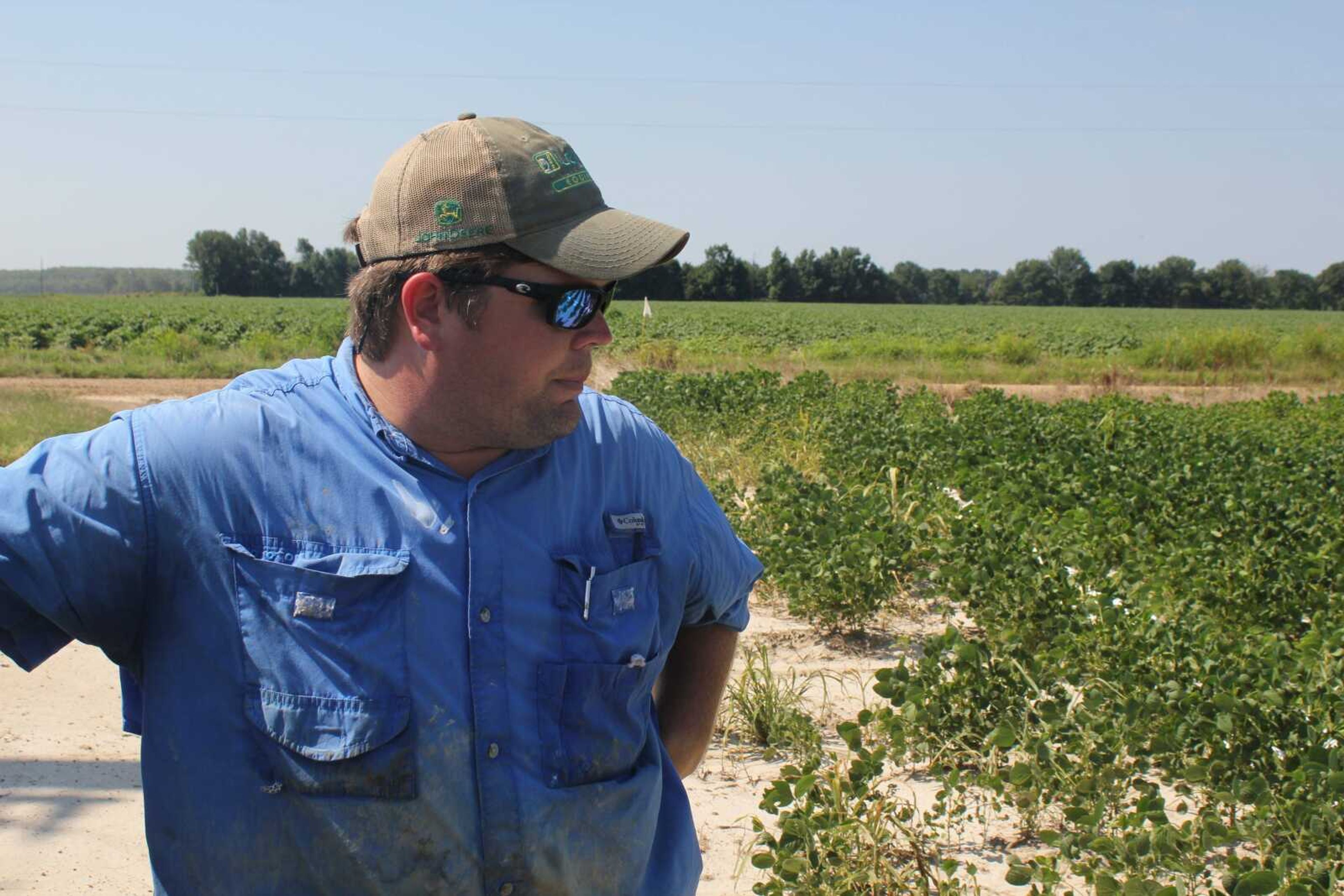 Soybean farmer Reed Storey looks at his field July 11 in Marvell, Arkansas. Storey said half of his soybean crop has shown damage from dicamba, a herbicide that has drifted onto unprotected fields and spawned hundreds of complaints from farmers.