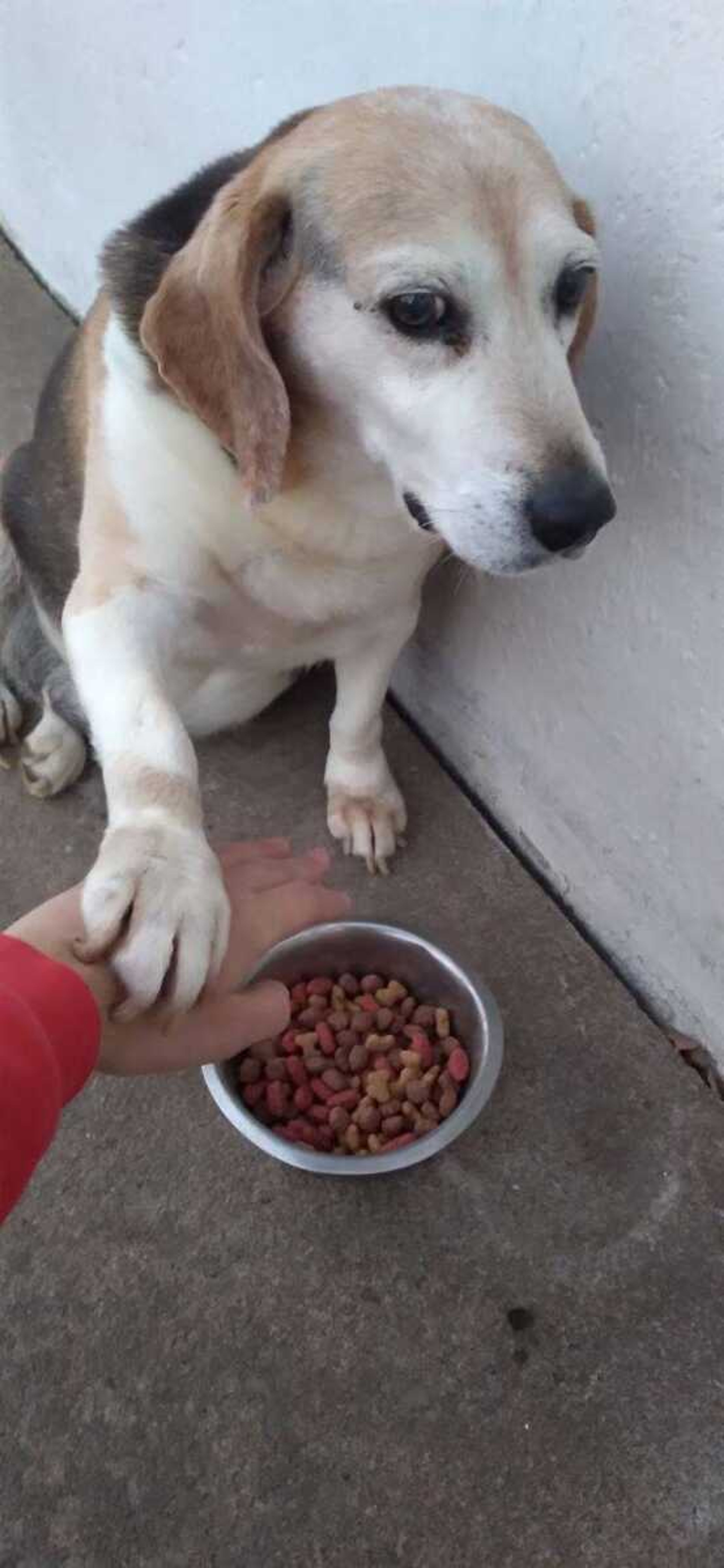 Can't Touch This -&nbsp;Yes, I'm protective over my food bowl!