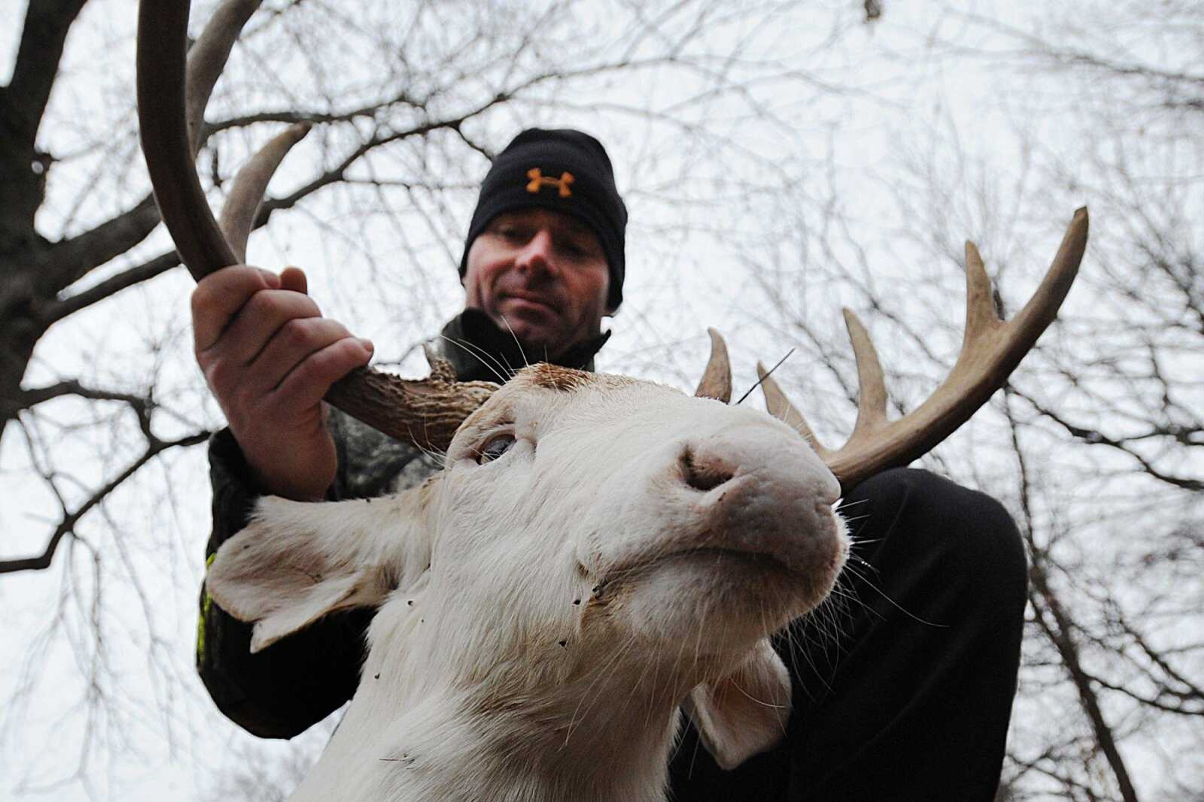 Jerry Kinnaman holds up a 10 point, seven-year-old albino buck he shot with a bow and arrow just outside of Cape Girardeau s city limits, Tuesday, Dec. 2, 104. (Laura Simon)