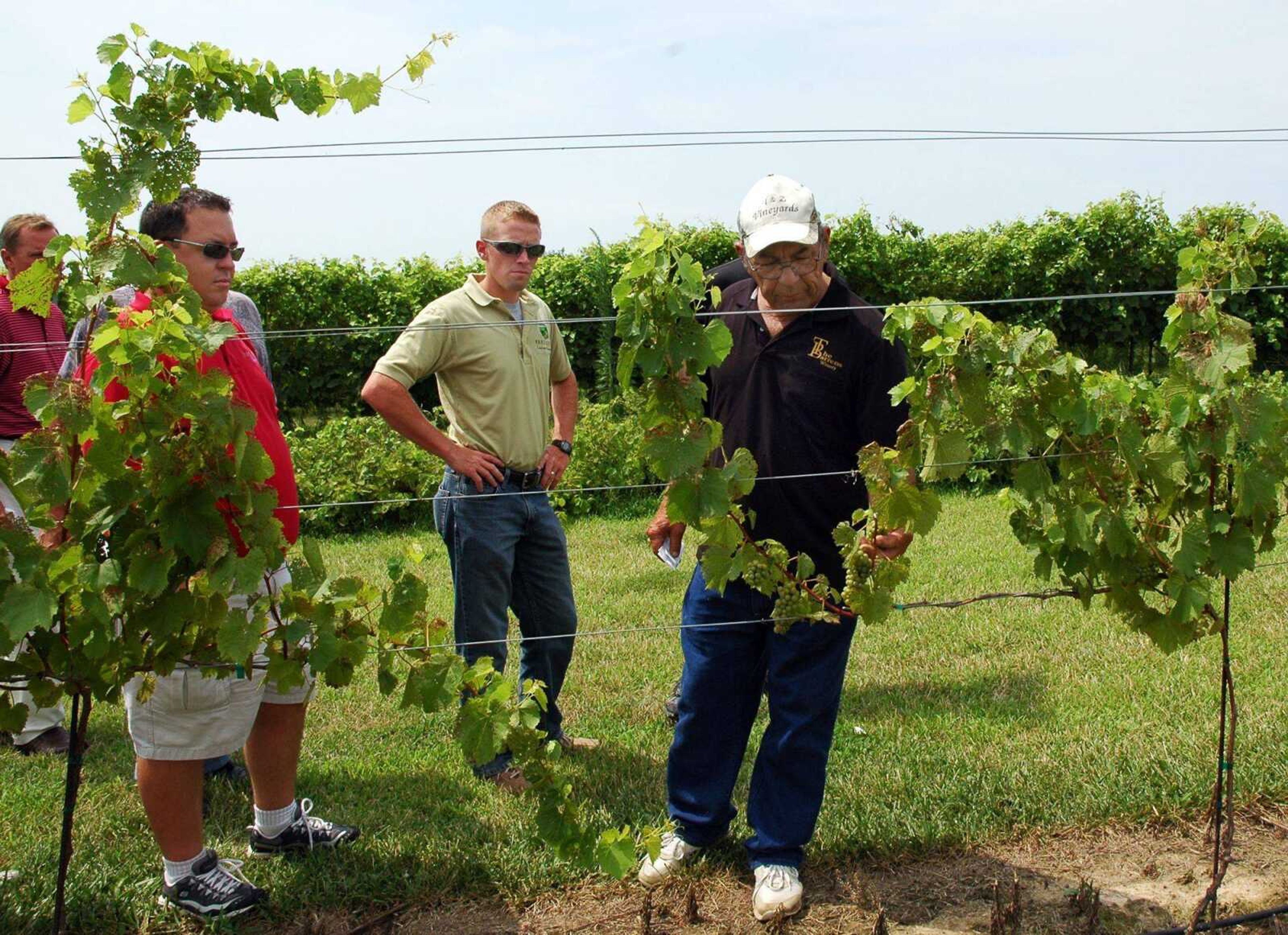 Larry Huber, right, explains grape pruning techniques as the Jackson Chamber of Commerce toured his new winery, The Barrens, located in Perryville, as part of the organization&#180;s annual Ag Tour Wednesday, July 21. (MELISSA MILLER)