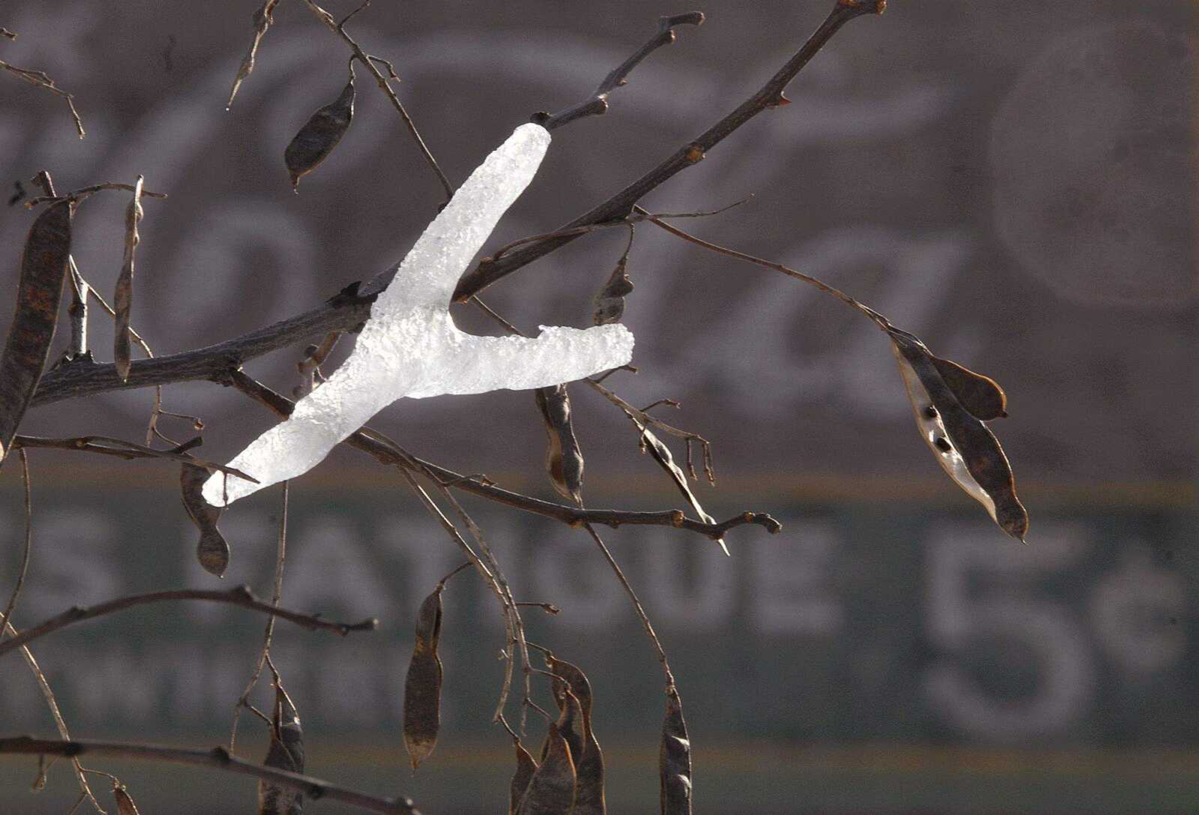 FRED LYNCH ~ flynch@semissourian.com
An icicle completes its life cycle in downtown Cape Girardeau as temperatures warmed on Friday afternoon.