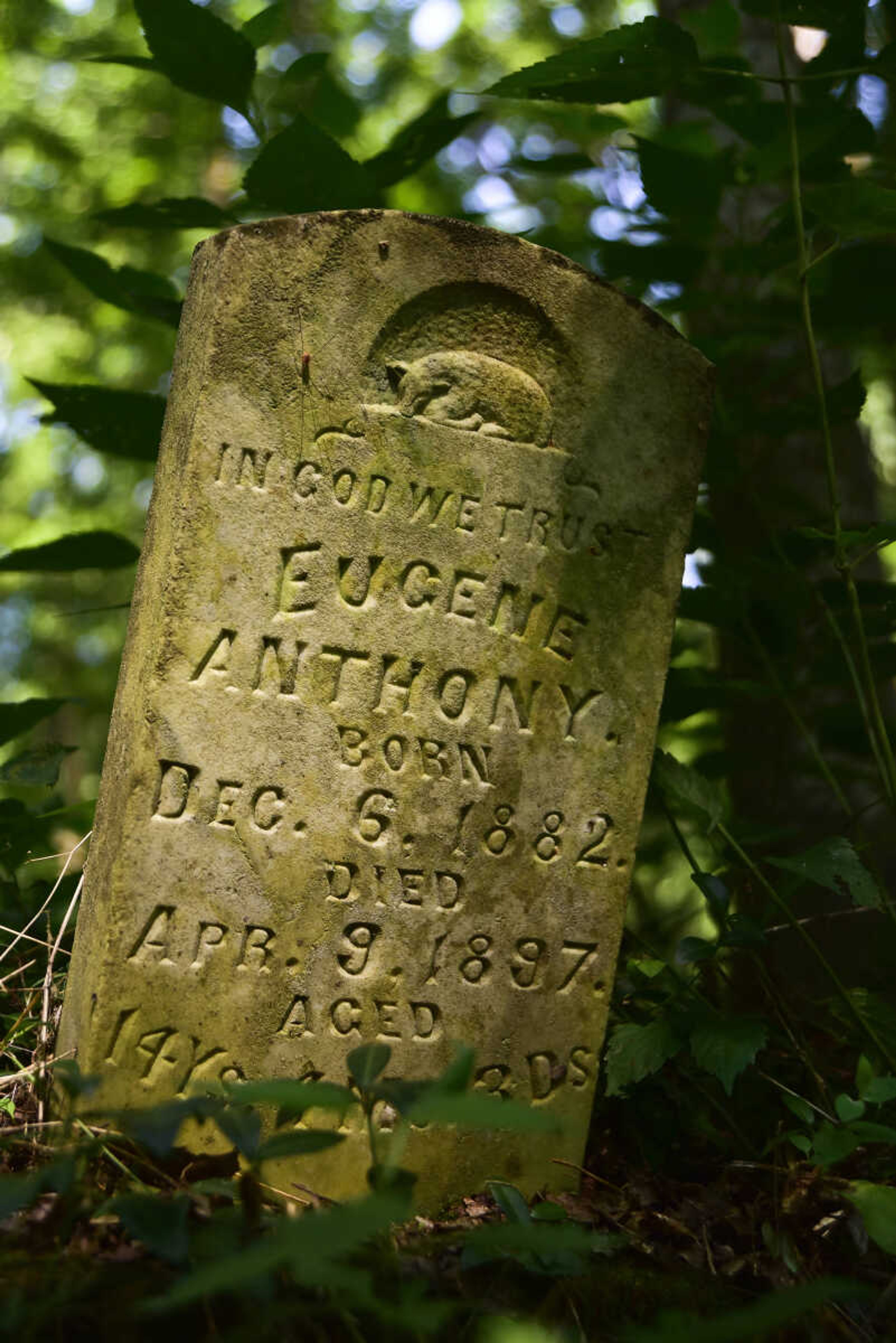 A tombstone of Eugene Anthony is seen at Shady Grove Cemetery Friday, July 21, 2017 in Dutchtown