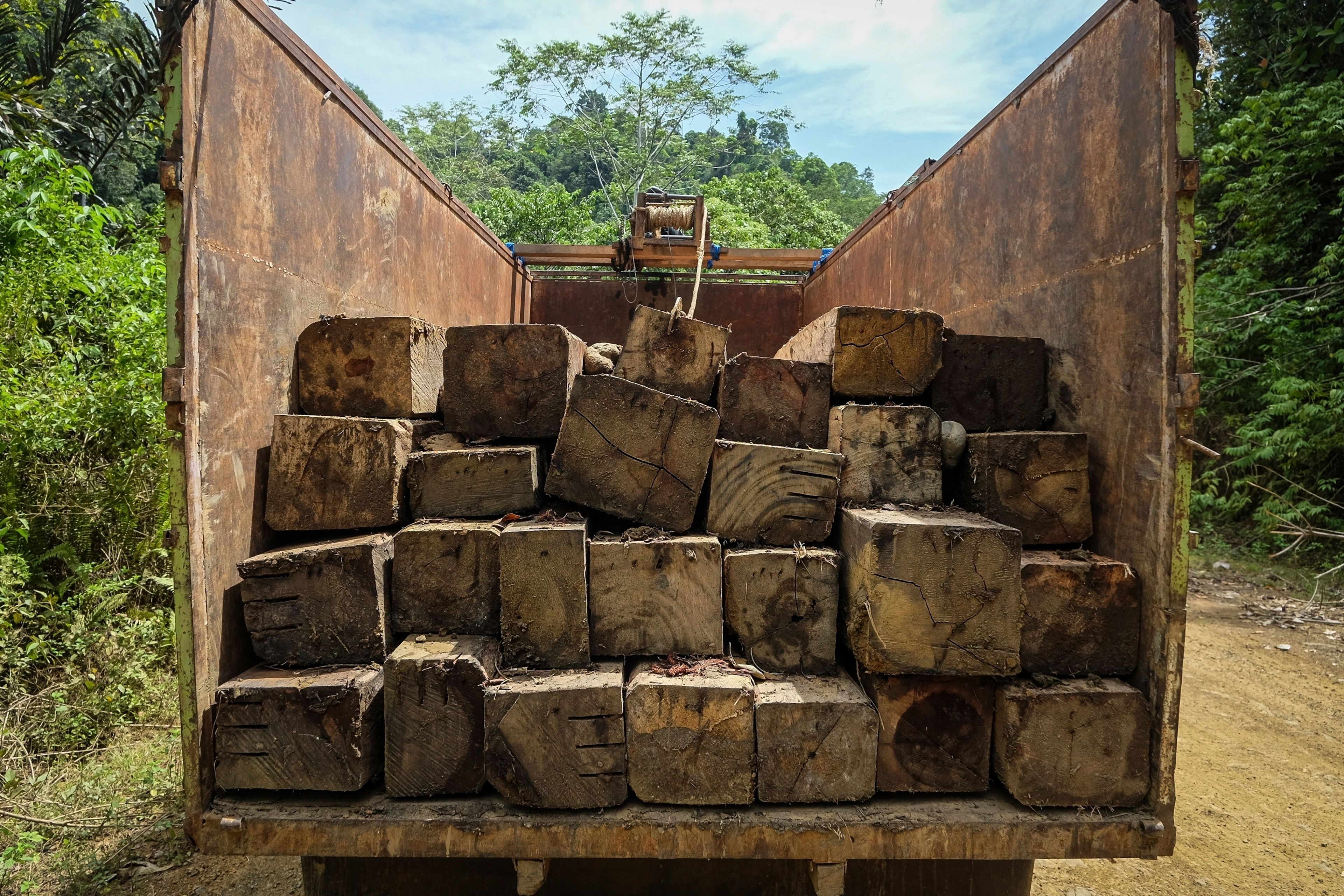 Logs sit on the back of a truck parked on the side of a road leading to the area of several wood pellet production companies in Pohuwato, Gorontalo province, Indonesia, Tuesday, Oct. 22, 2024. (AP Photo/Yegar Sahaduta Mangiri)