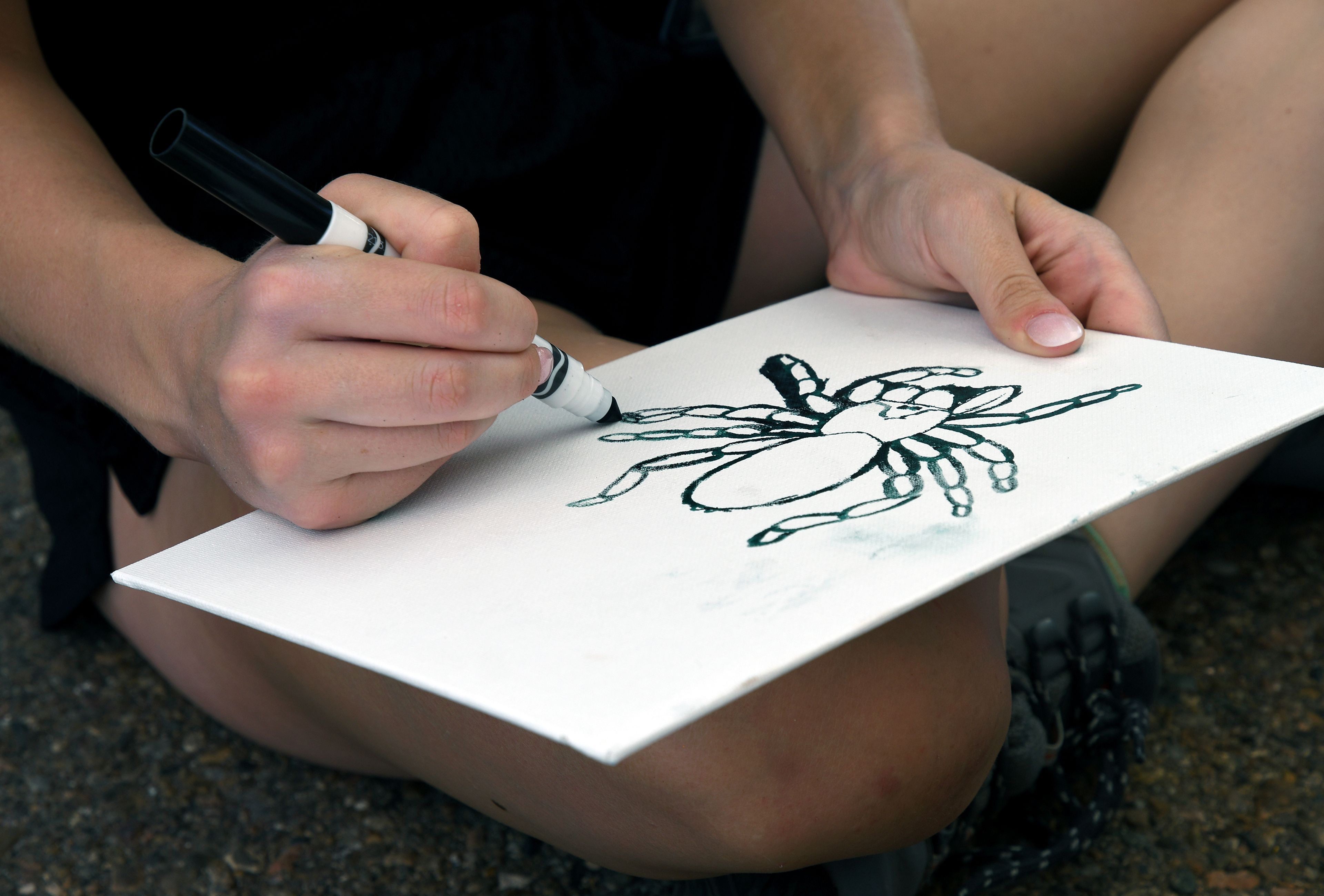 Raven Myhre, of Fort Collins, Colo., draws a spider at the Tarantula Festival in La Junta, Colo., on Saturday, Sept. 28, 2024. (AP Photo/Thomas Peipert)