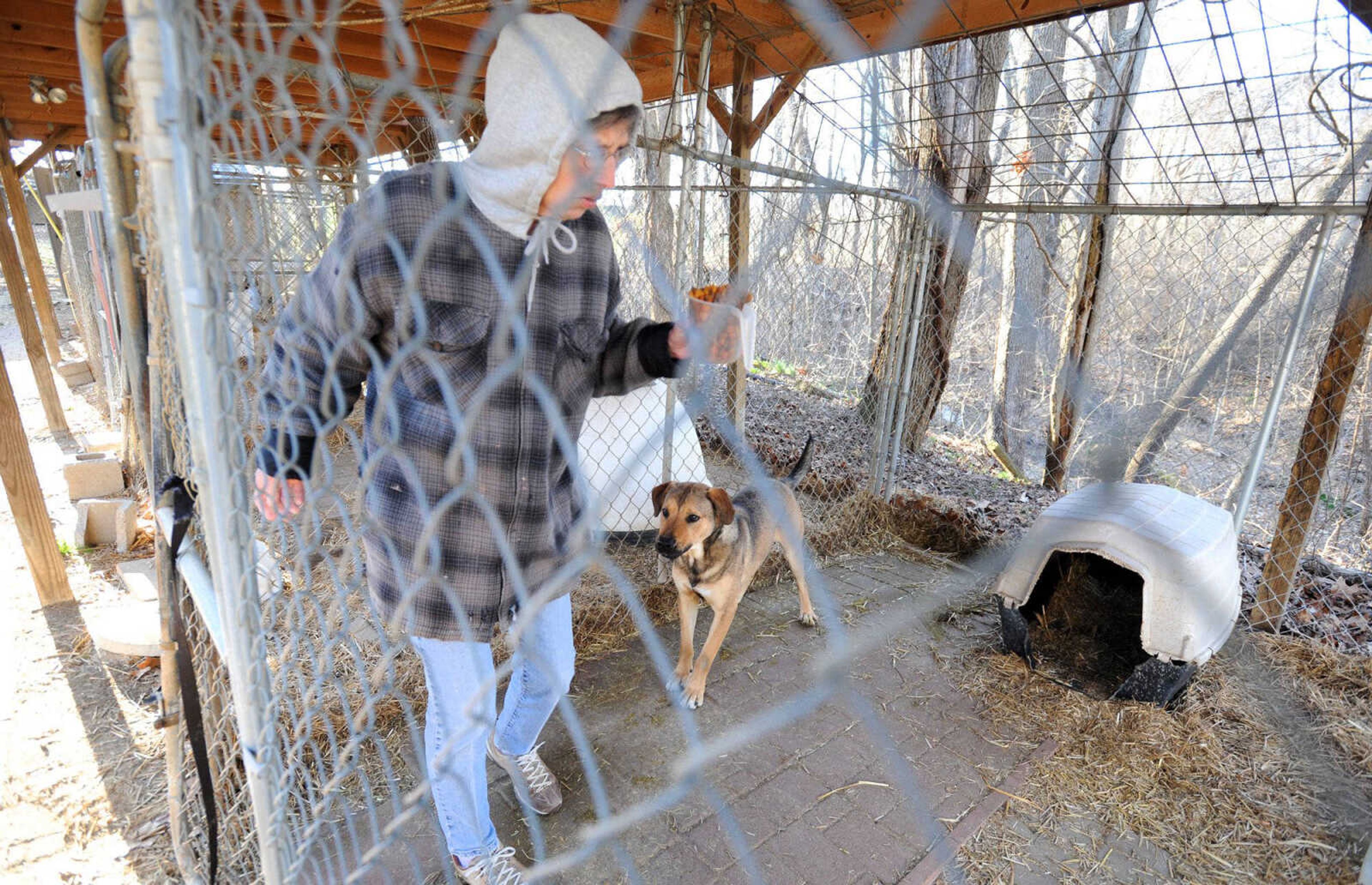 Alice Wybert serves dinner to the dogs living at Safe Harbor Animal Sanctuary on March 17. (Laura Simon)