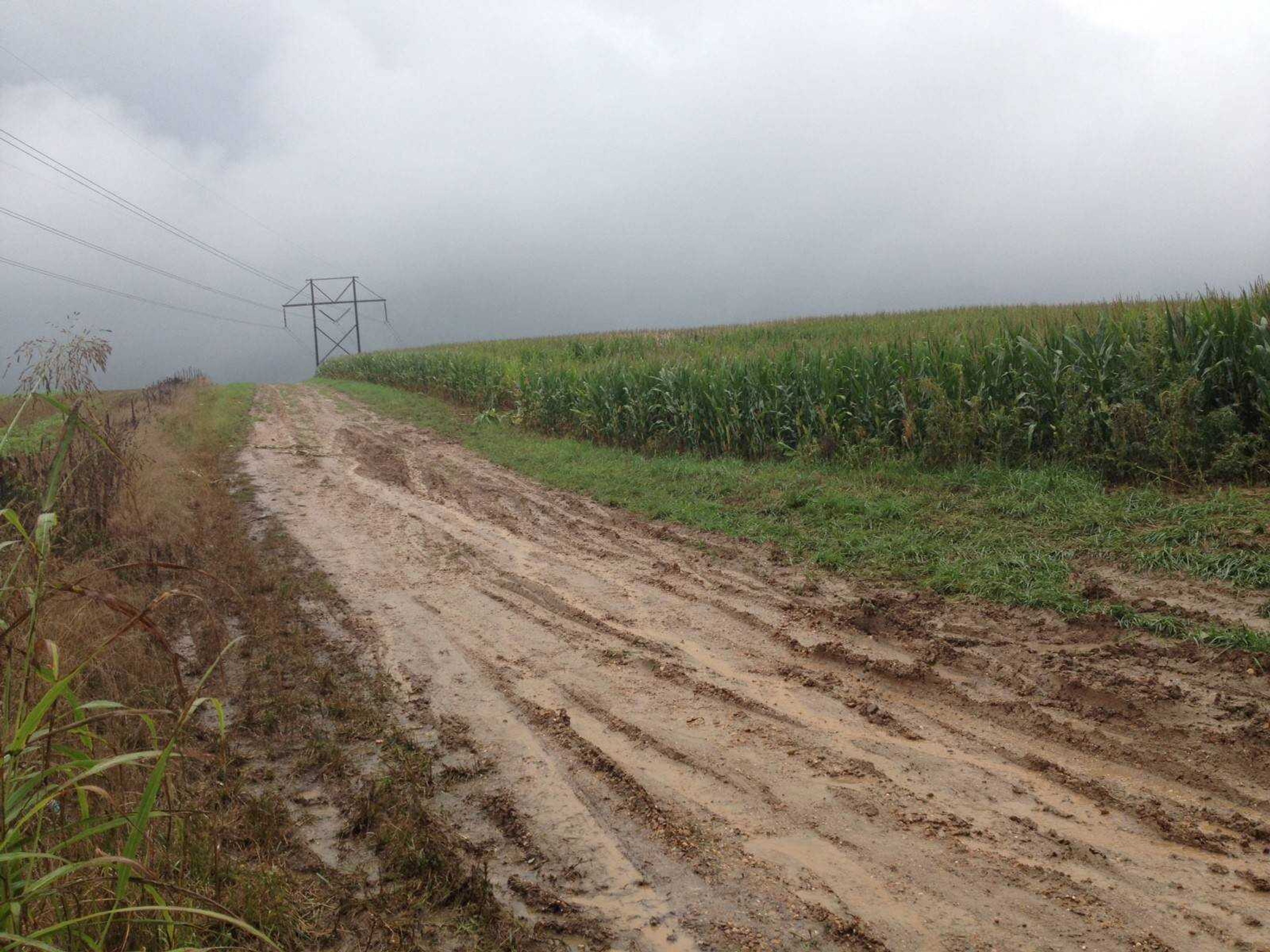 This cellphone photo taken Friday shows a field road near where a woman's body was found in a burned car in northern Scott County (Samantha Kluesner)