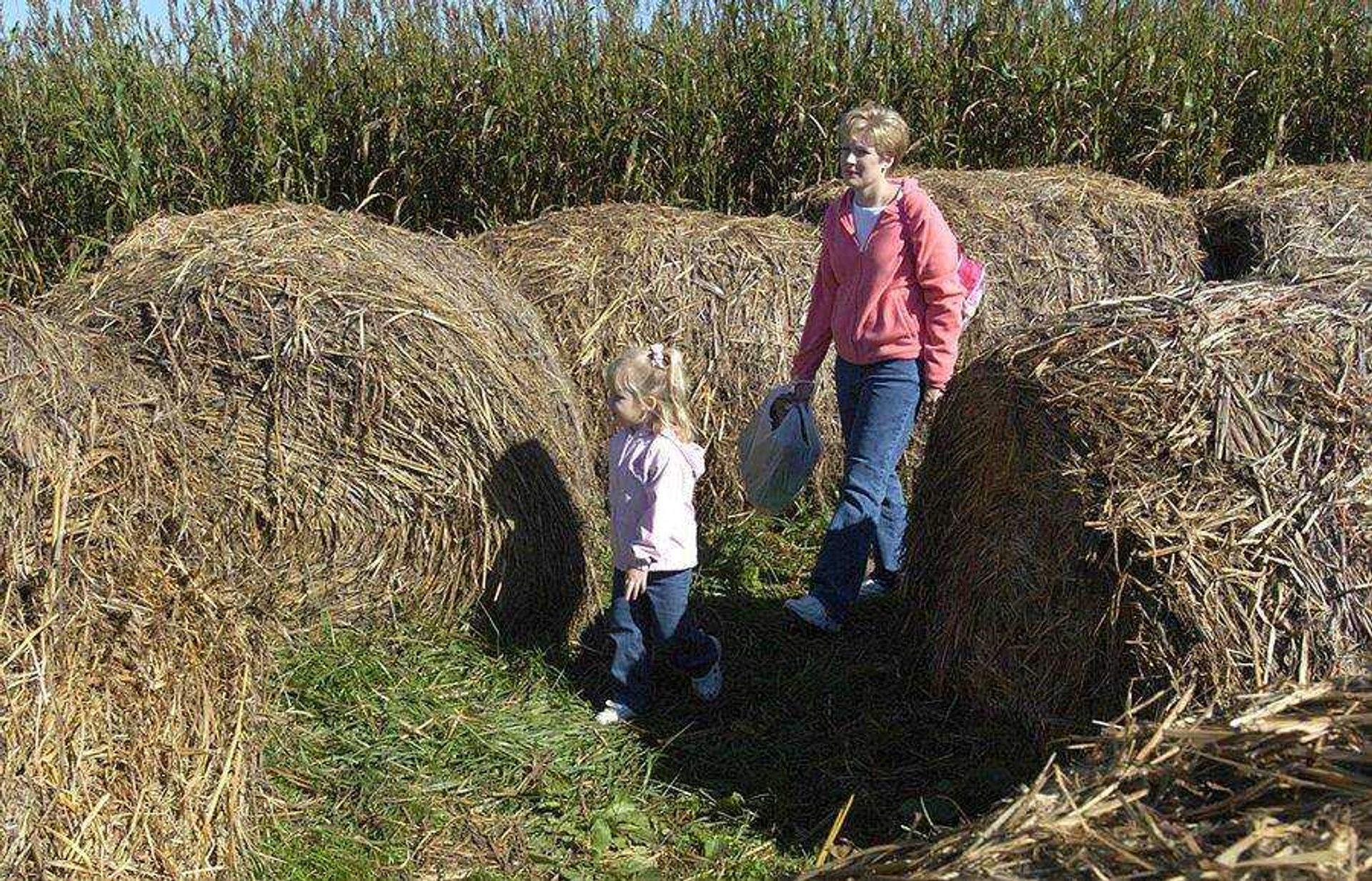 FRED LYNCH * flynch@semissourian.com
Emily Landewee, 5, and her mother, Jennifer Landewee, of Chaffee, Mo., walk through a straw maze at Pioneer Orchard in Jackson.