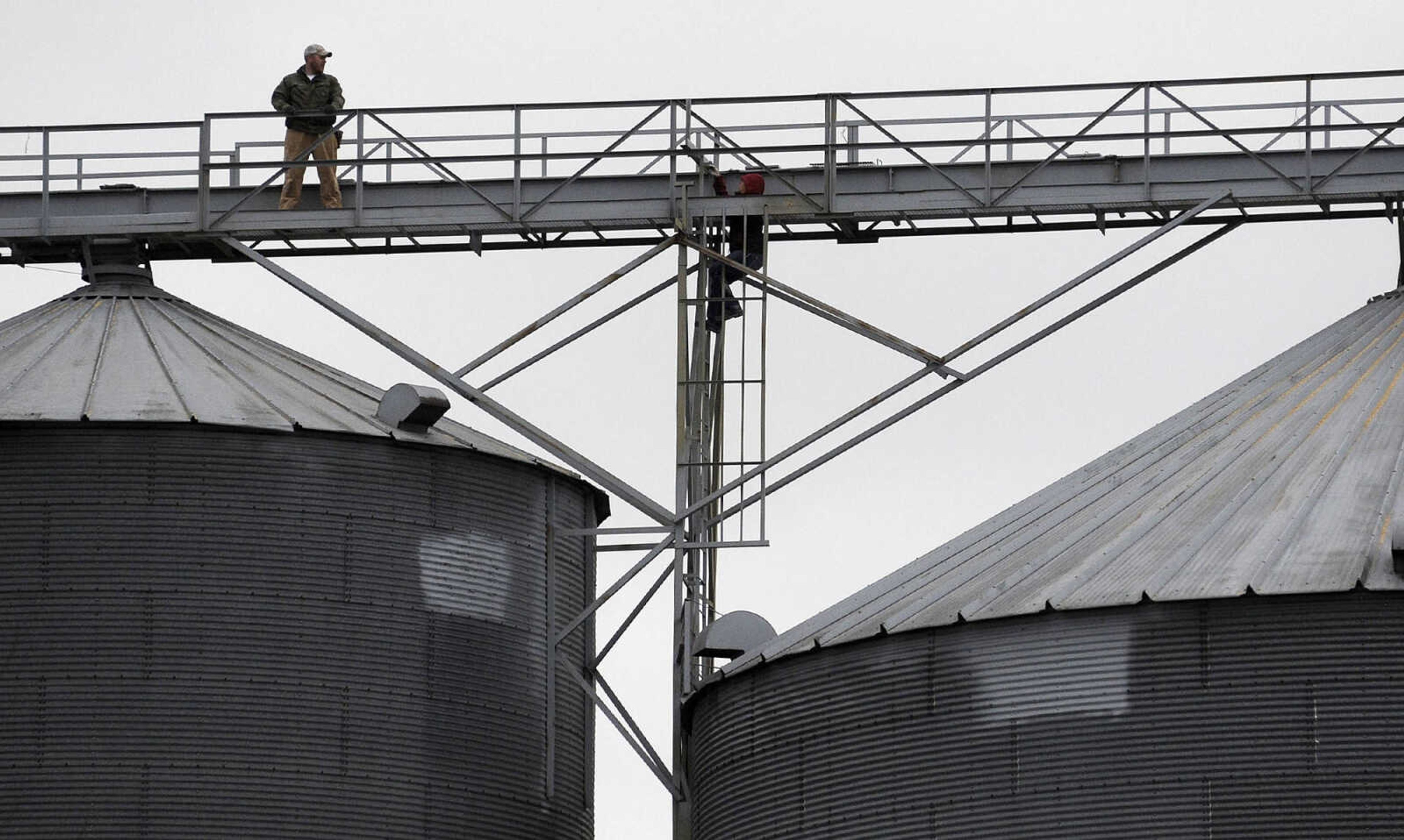 LAURA SIMON ~ lsimon@semissourian.com

Trucks line the streets of McBride, Missouri, Tuesday, Dec. 29, 2015, while waiting in line to fill the truck beds with wheat grain.