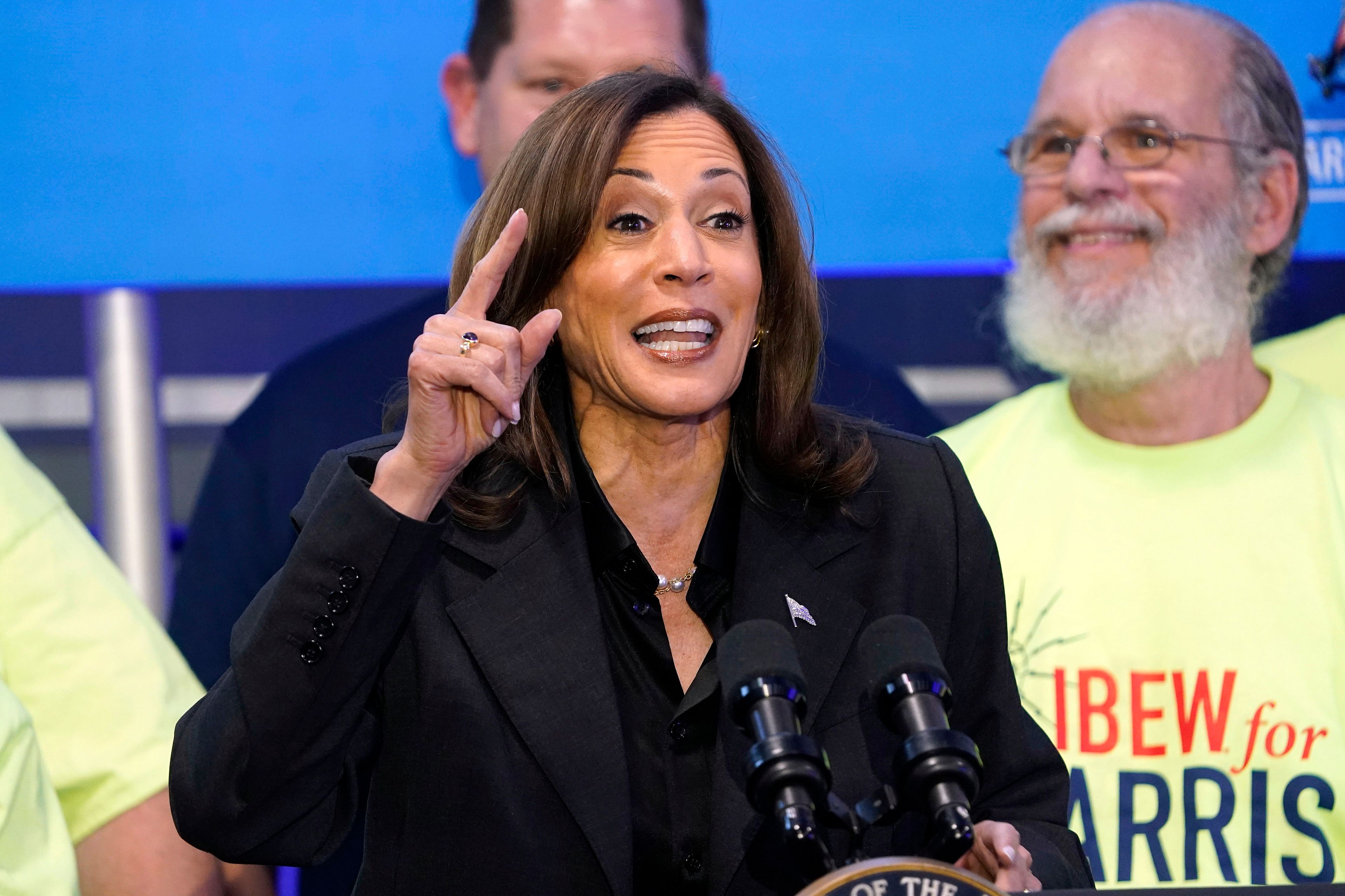 Democratic presidential nominee Vice President Kamala Harris speaks during a campaign event at IBEW Local 890 in Janesville, Wis., Friday, Nov. 1, 2024. (AP Photo/Kayla Wolf)