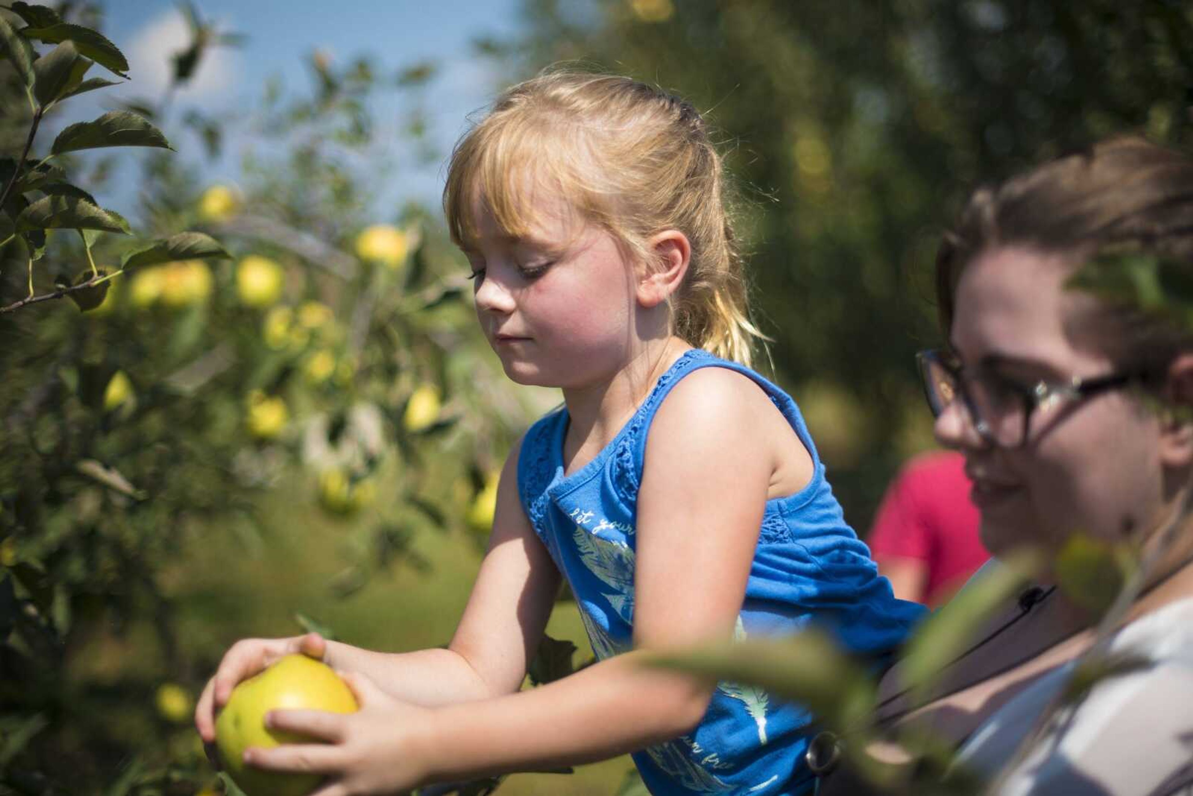 Brittany Griffith, right, holds up Mallory Myers, 5, left, as she picks an apple at Knowlan Family Farm Saturday, Sept. 16, 2017 in Burfordville.