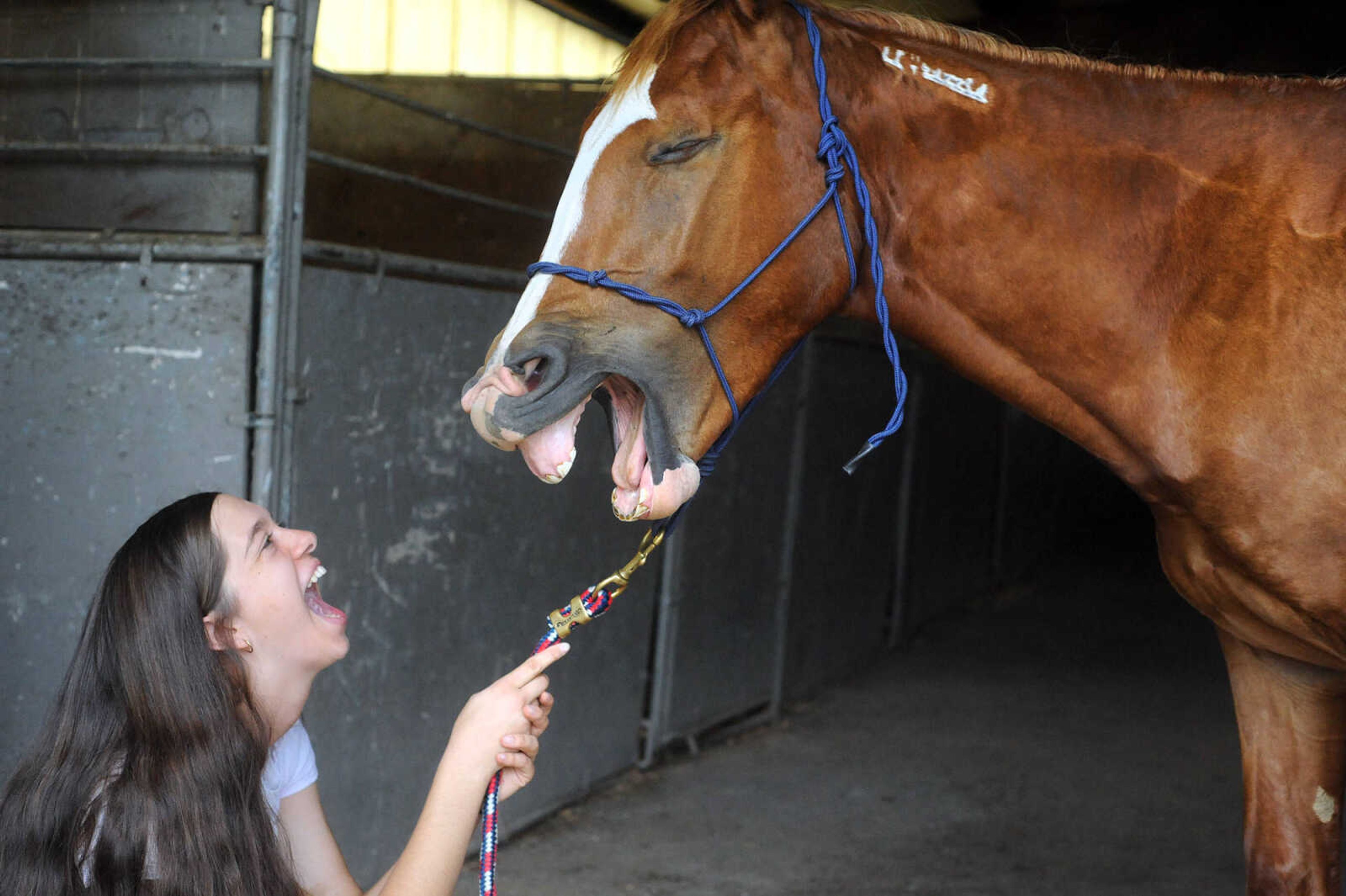 LAURA SIMON ~ lsimon@semissourian.com

Allison Elfrink and her wild mustang, Chico, at Flickerwood Arena in Jackson, Missouri, Wednesday, Aug. 5, 2015.