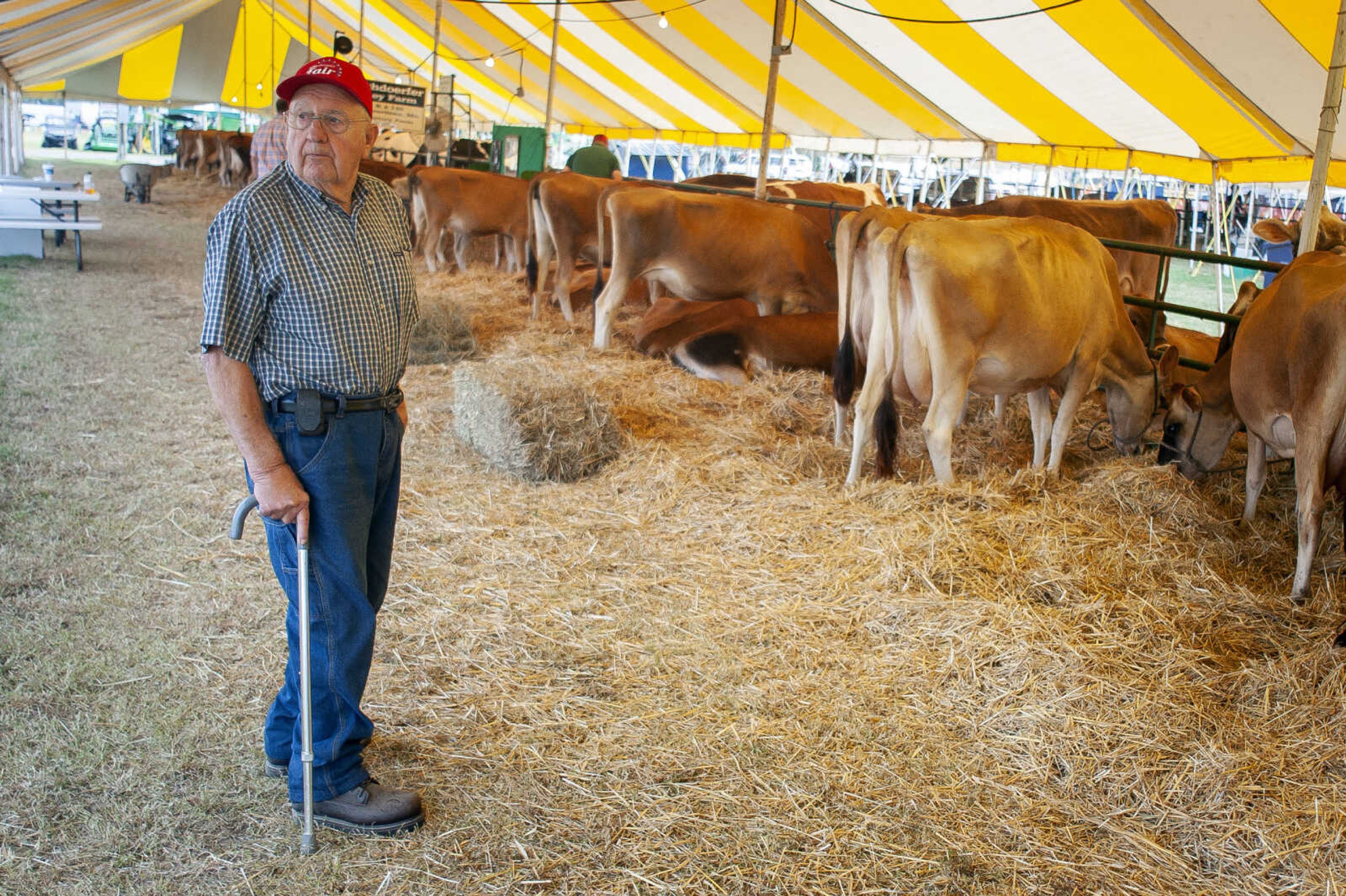 Joe Kirchdoerfer stands next to his family's jersey cattle before they are shown in competition Monday, Sept. 9, 2019, at the 2019 SEMO District Fair at Arena Park in Cape Girardeau. This year marks 70 years that Kirchdoerfer has been an exhibitor of jersey cattle at the fair.