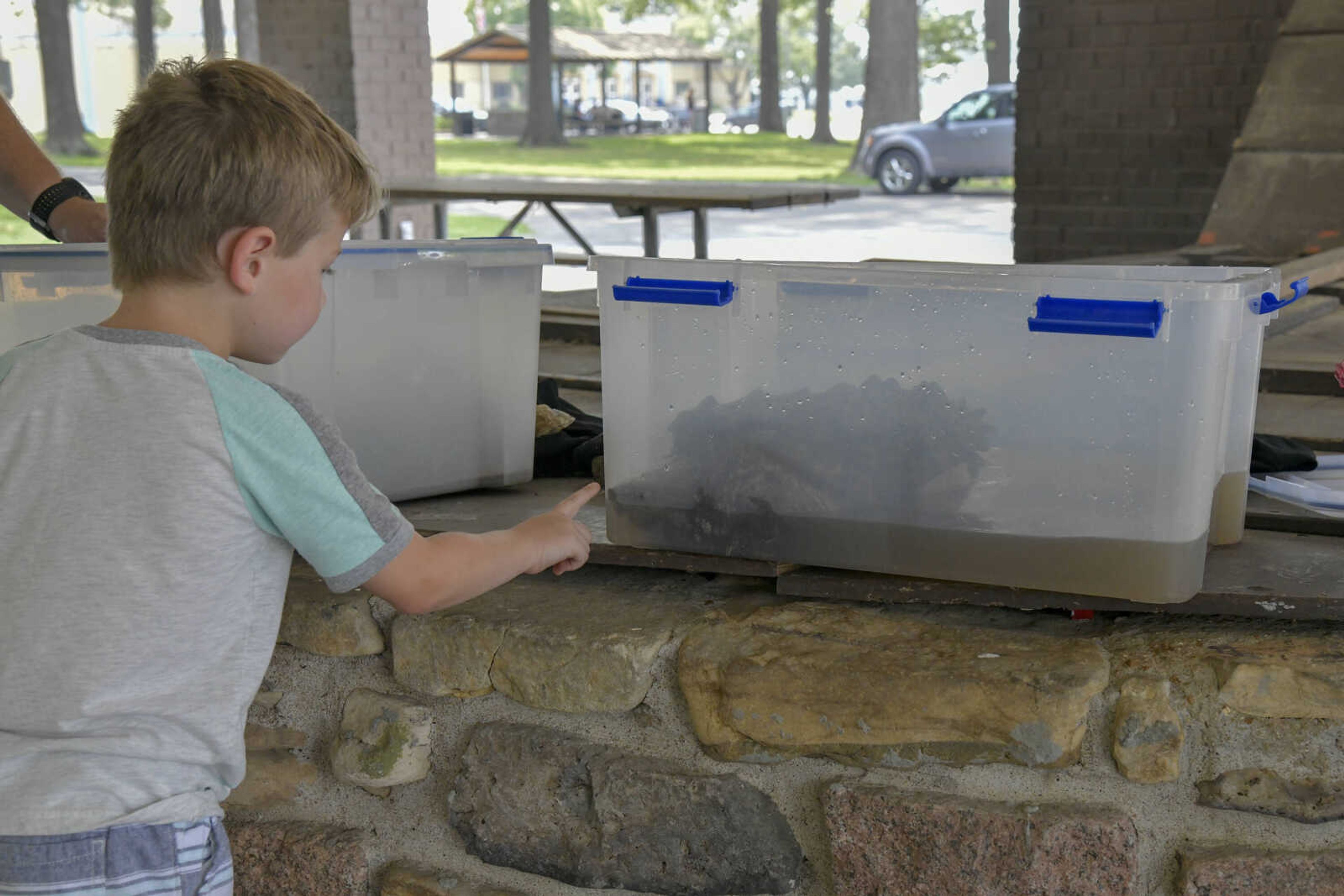 Asher Seyer, 6, taps the container holding the alligator snapping turtle during the EPIC Fun event at Arena Park in Cape Girardeau on Friday, July 23, 2021.