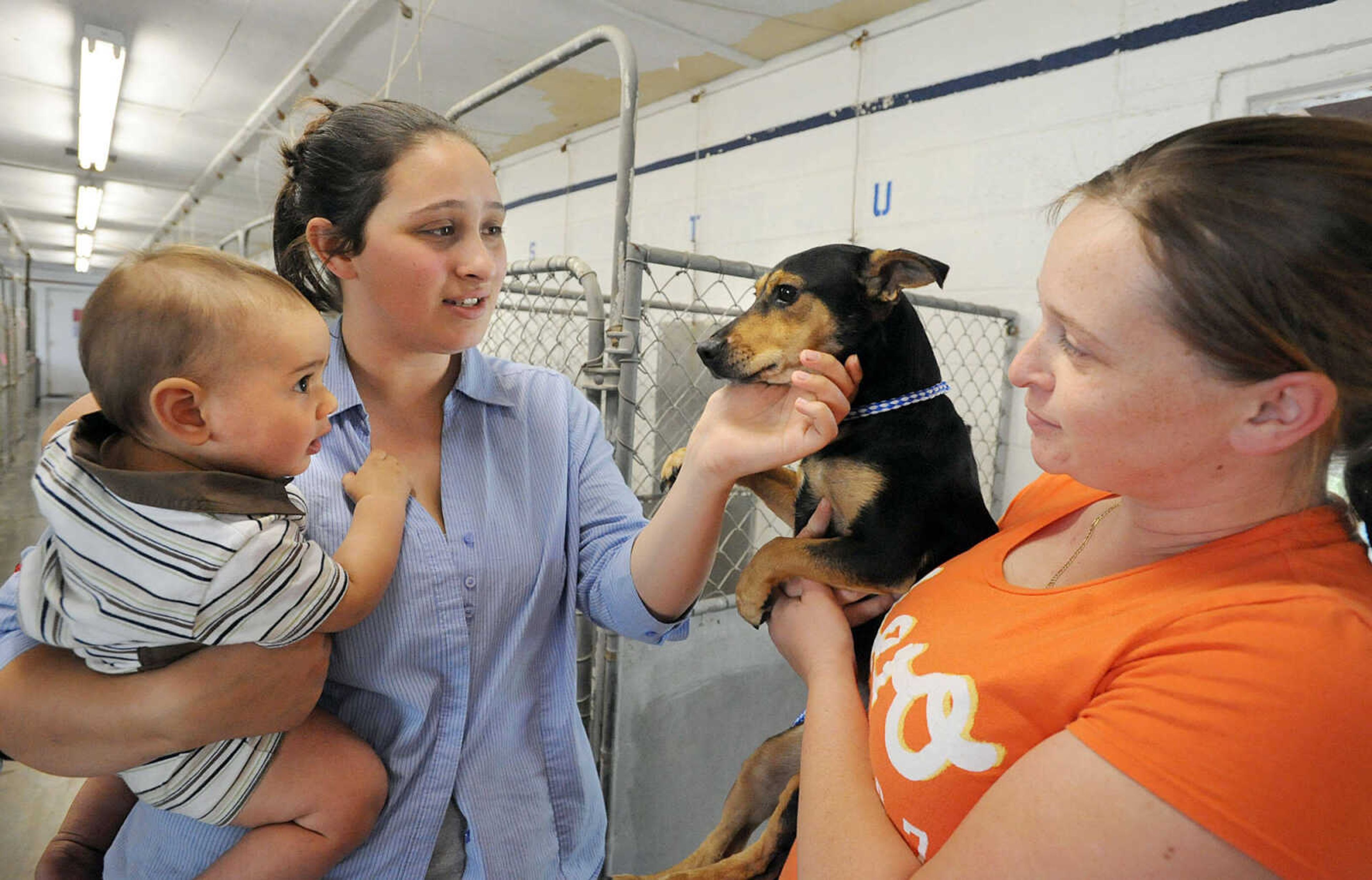 LAURA SIMON ~ lsimon@semissourian.com
Samantha Cruz Marcial, right, introduces her newly adopted dog, Bella, to her sister Tiffany Salinas, and her nephew Andrew Salinas Tuesday, May 8, 2012 at the Humane Society of Southeast Missouri. 'It's really depressing seeing all those puppies back there,' said Marcial.