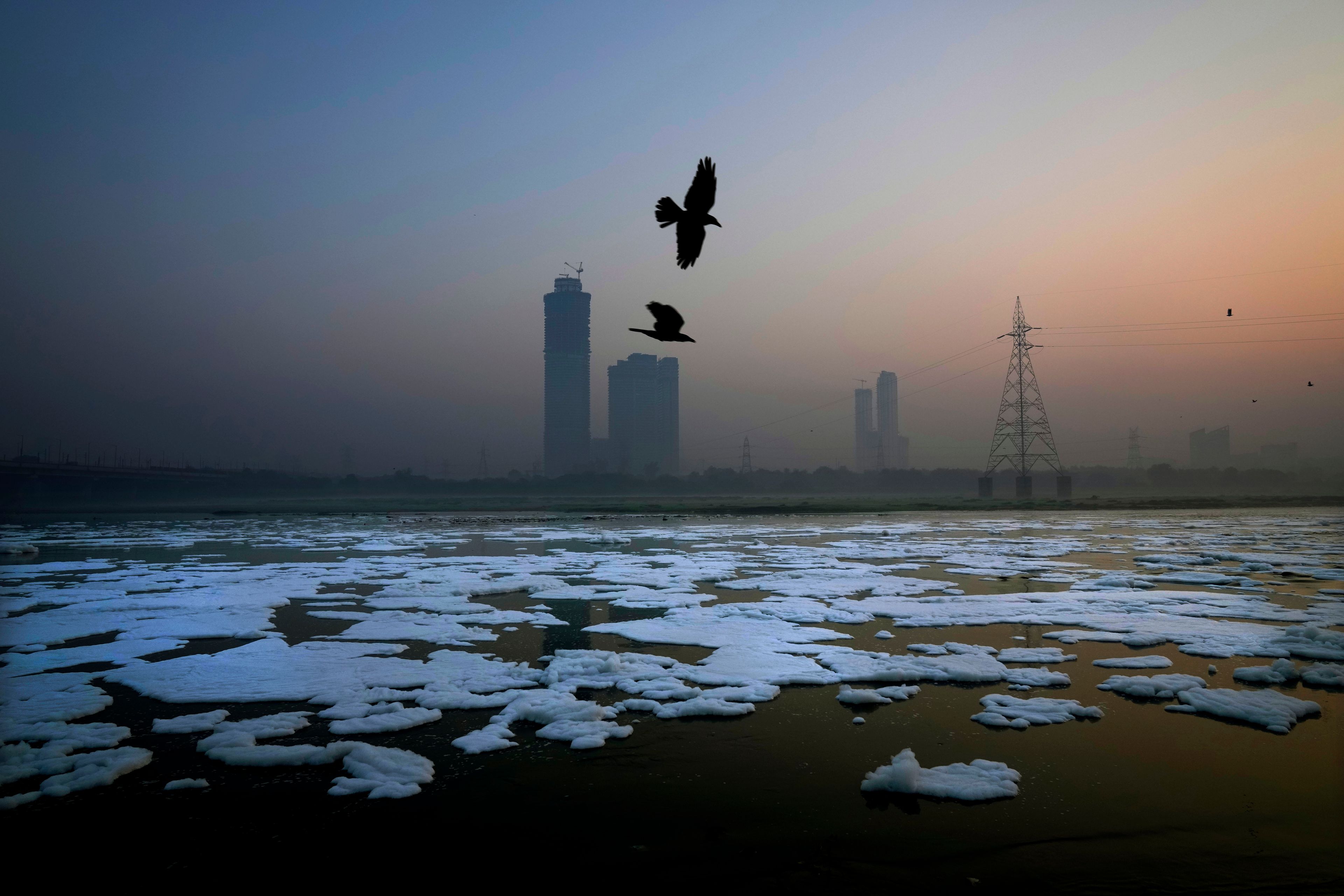 Birds fly over toxic foams floating in the river Yamuna in New Delhi, India, Tuesday, Oct. 29, 2024. (AP Photo/Manish Swarup)