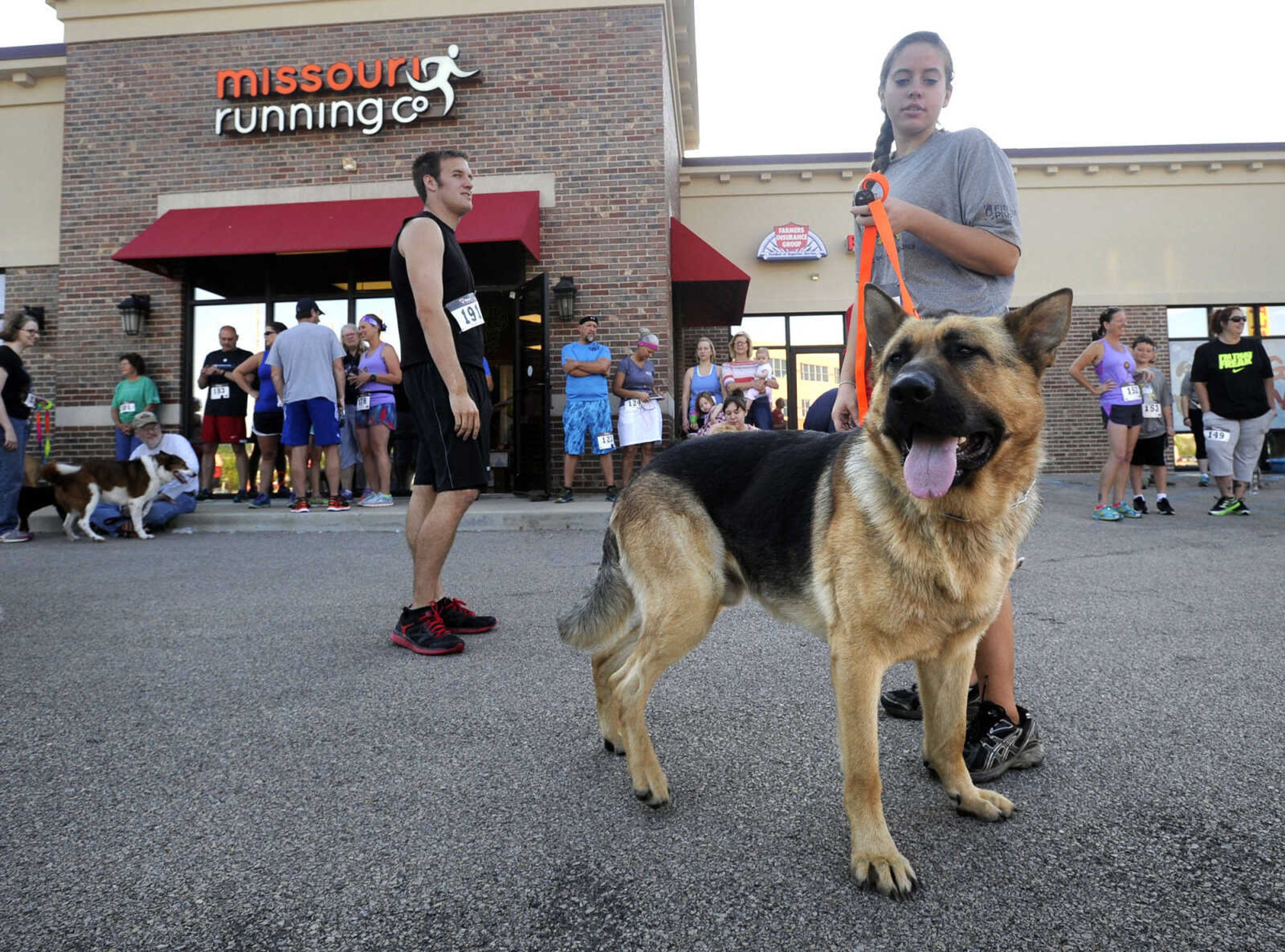 Rachel Bartels and her dog, Ruger, wait for the start of the Furry 5K and one-mile Fun Walk Saturday, June 6, 2015 in Cape Girardeau.