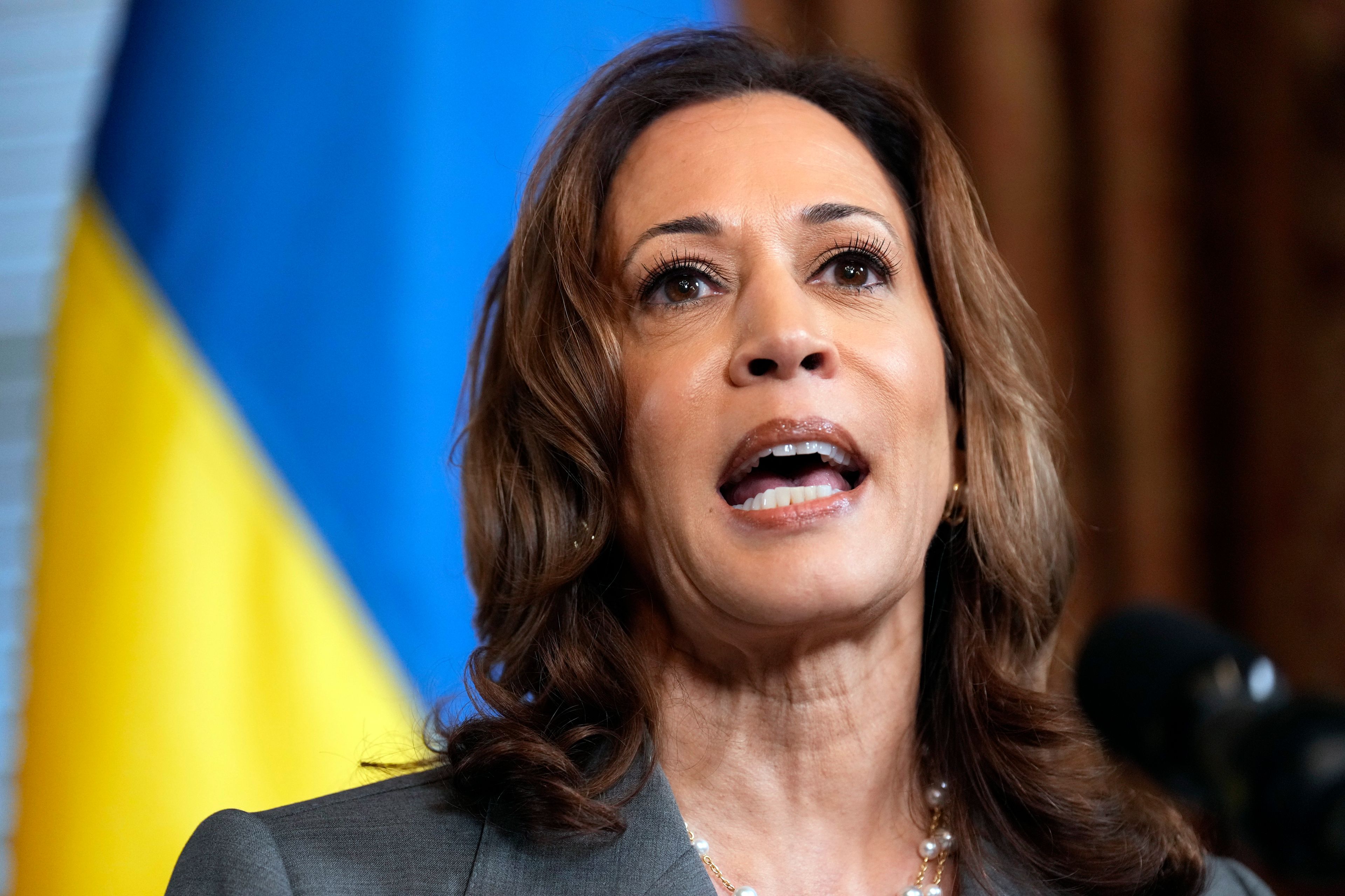 Democratic presidential nominee Vice President Kamala Harris speaks as she meets with Ukraine's President Volodymyr Zelenskyy, Thursday, Sept. 26, 2024, at the Vice President's ceremonial office inside the Eisenhower Executive Office Building on the White House complex in Washington. (AP Photo/Jacquelyn Martin)