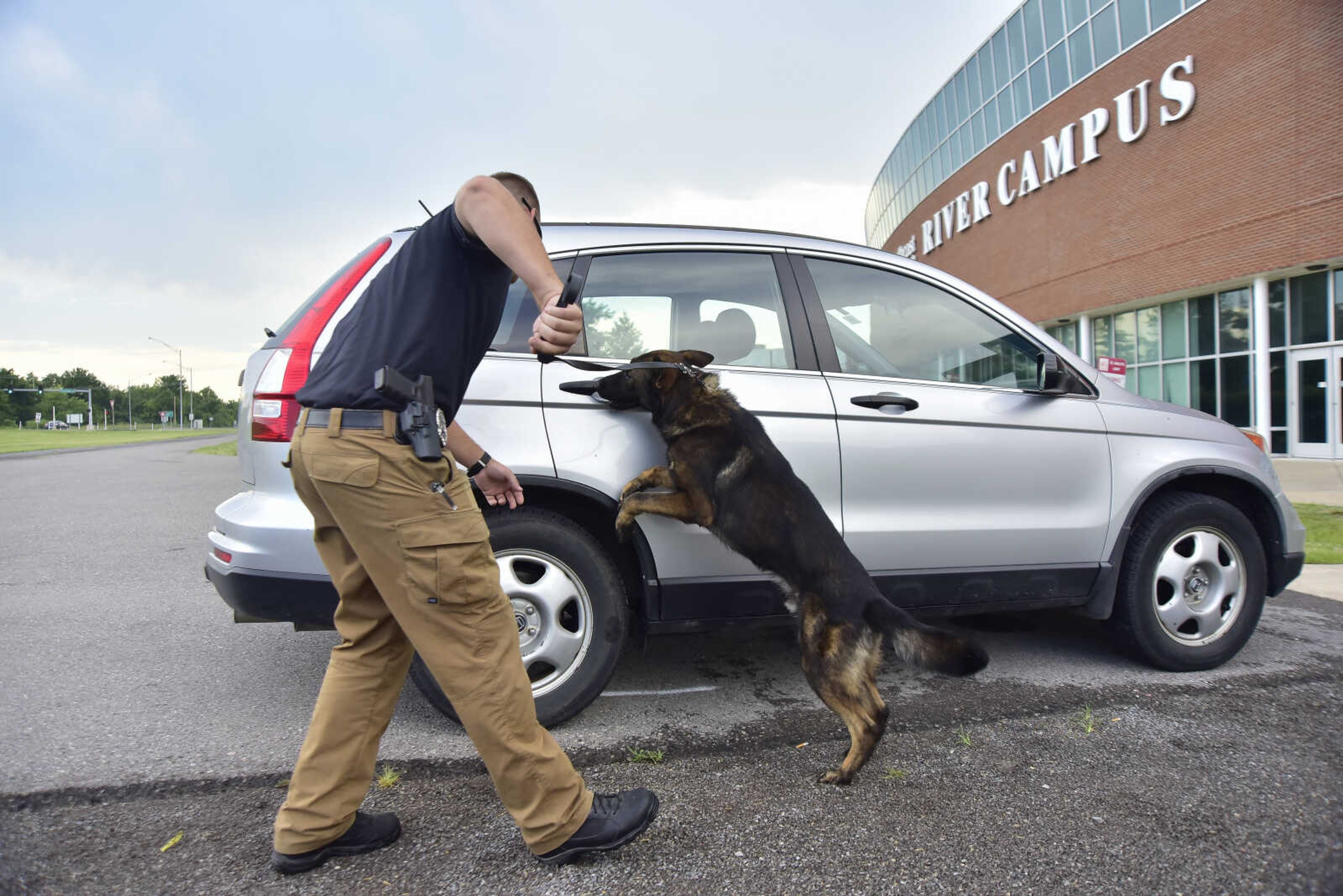 Officer Eric Steiner and K-9 officer Dallas demonstrate a drug search on a vehicle outside of the Southeast Missouri State River Campus Monday, July 17, 2017 in Cape Girardeau.