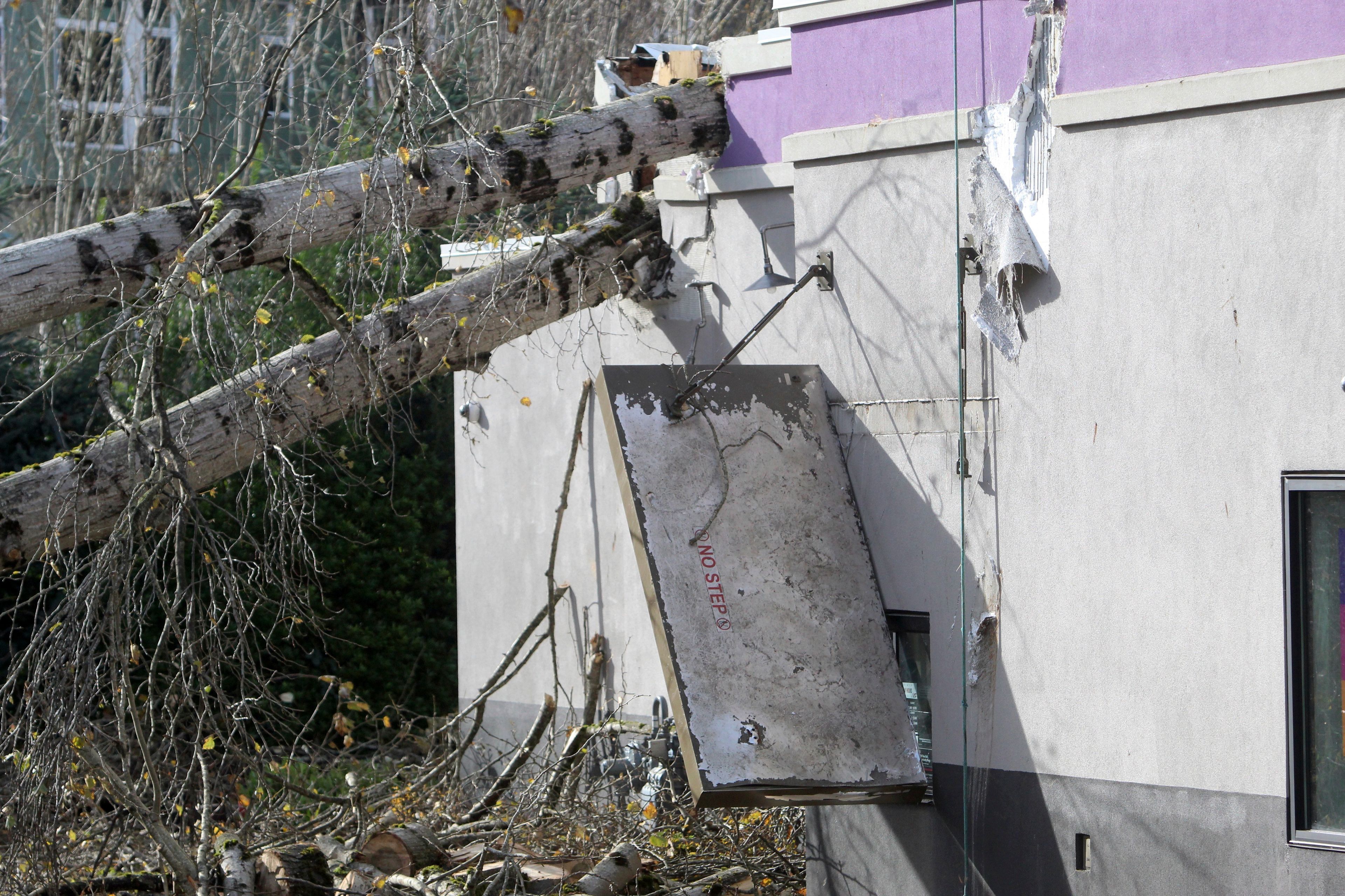 The drive-thru area of a Taco Bell restaurant is damaged by a fallen tree Wednesday, Nov. 20, 2024, in Issaquah, Wash., after a "bomb cyclone'"storm brought high winds to the area. (AP Photo/Manuel Valdes)