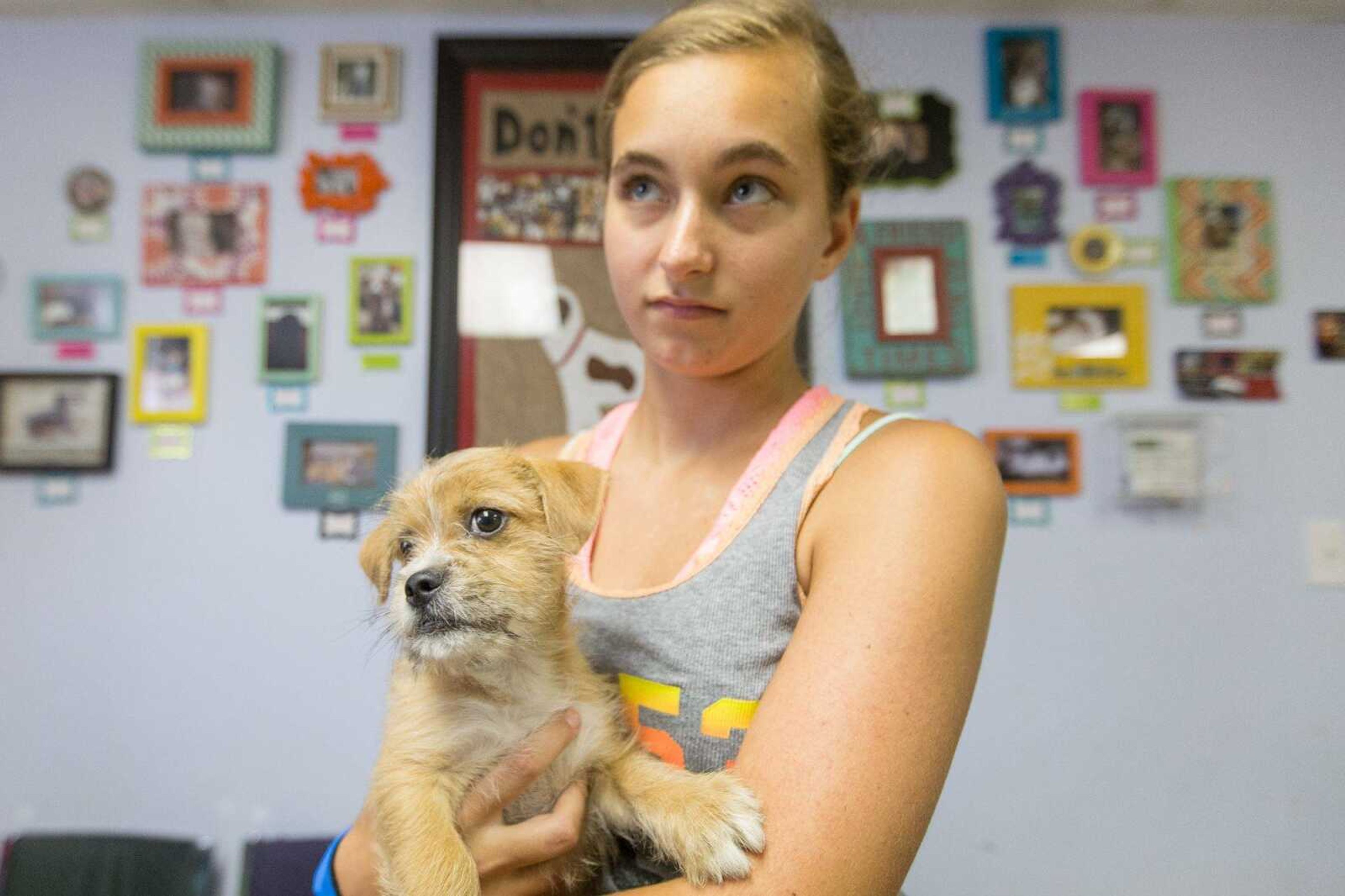 Britney Koenig holds Junior, a 10-week-old terrier mix, on Friday at the Humane Society of Southeast Missouri.