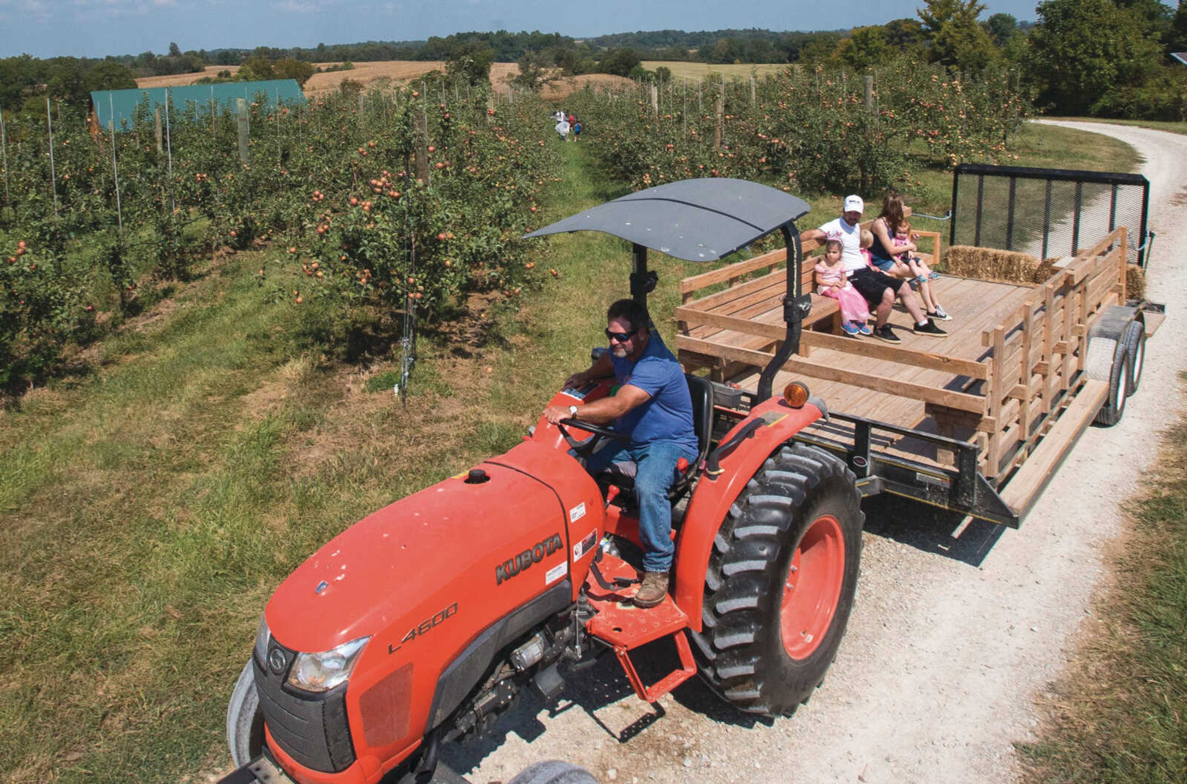 People are pulled by a tractor headed into the apple orchard at Knowlan Family Farm Saturday, Sept. 16, 2017 in Burfordville.